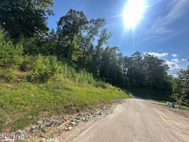 Norris Lake Real Estate - Image# 7