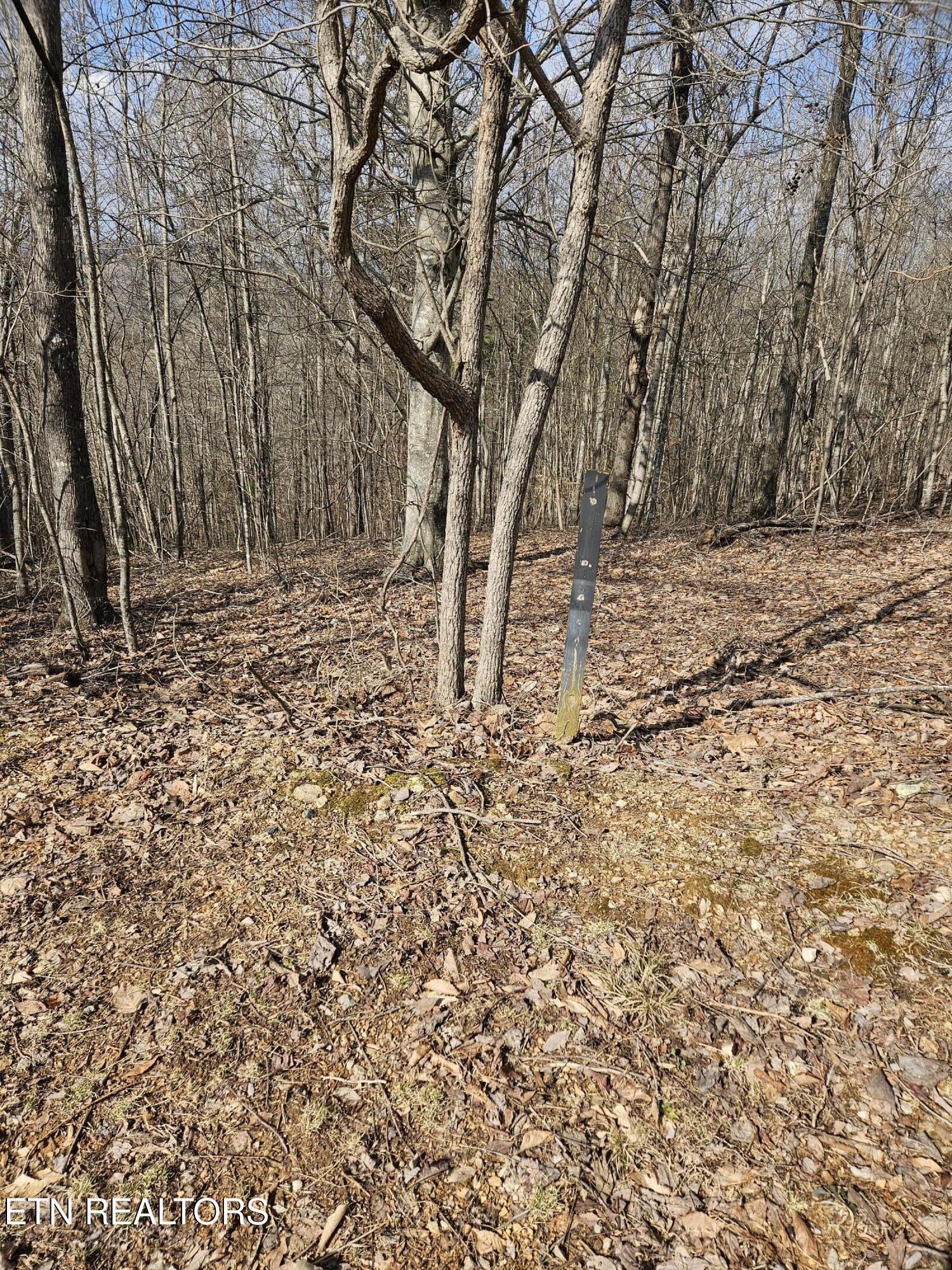 Lot 191 Moonstone Lane, New Tazewell, TN - Norris Lake Real Estate - Image# 5