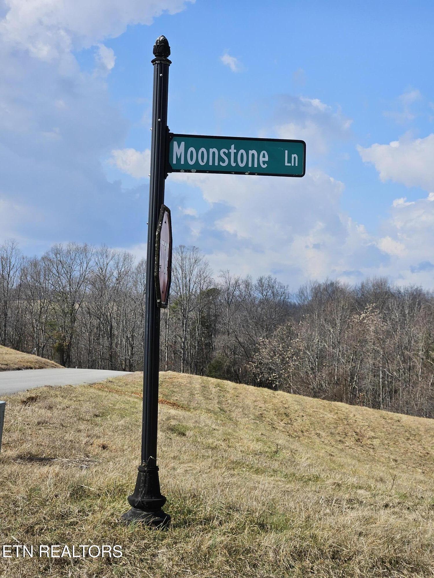 Lot 191 Moonstone Lane, New Tazewell, TN - Norris Lake Real Estate - Image# 21