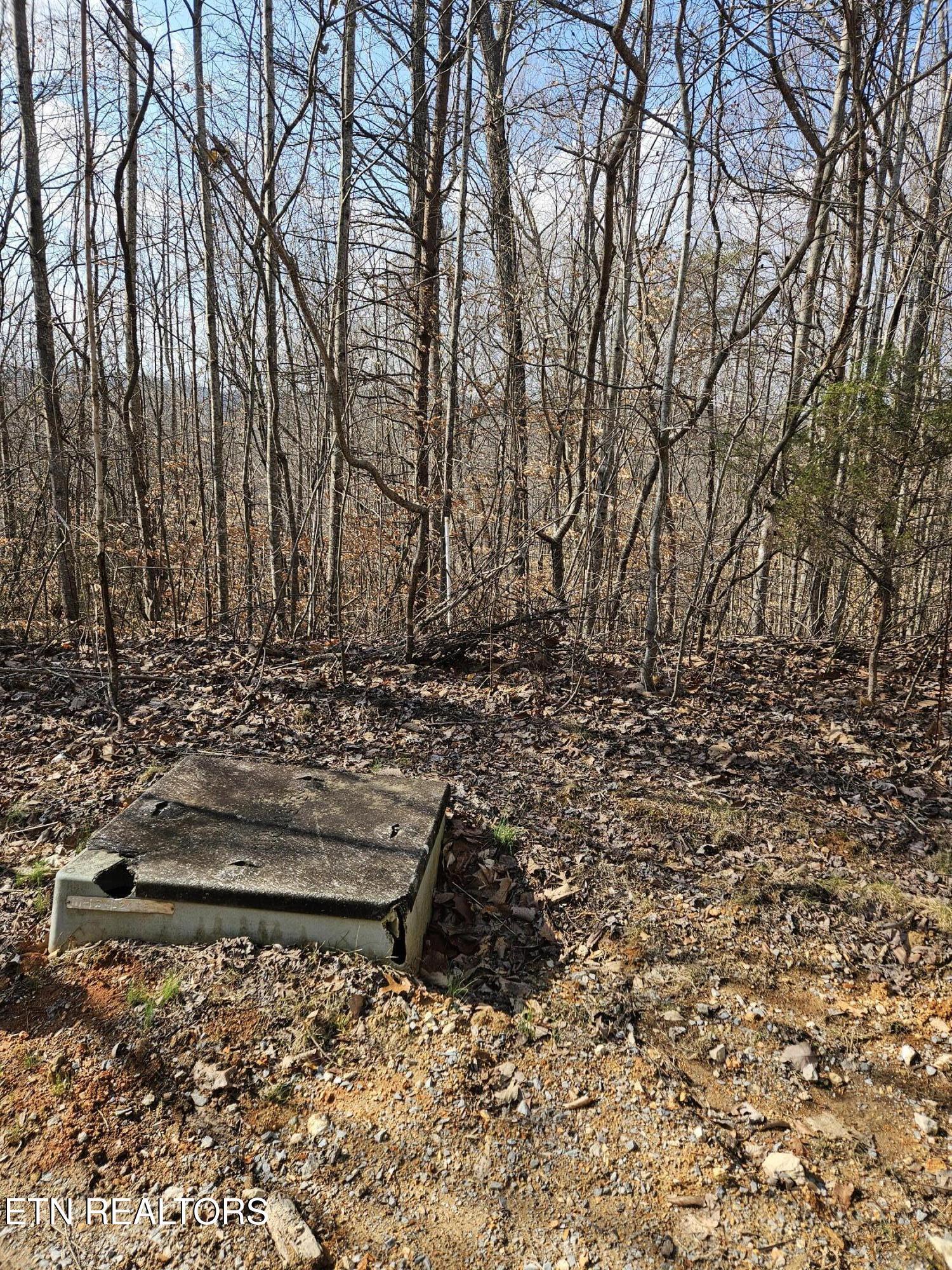 Lot 191 Moonstone Lane, New Tazewell, TN - Norris Lake Real Estate - Image# 6