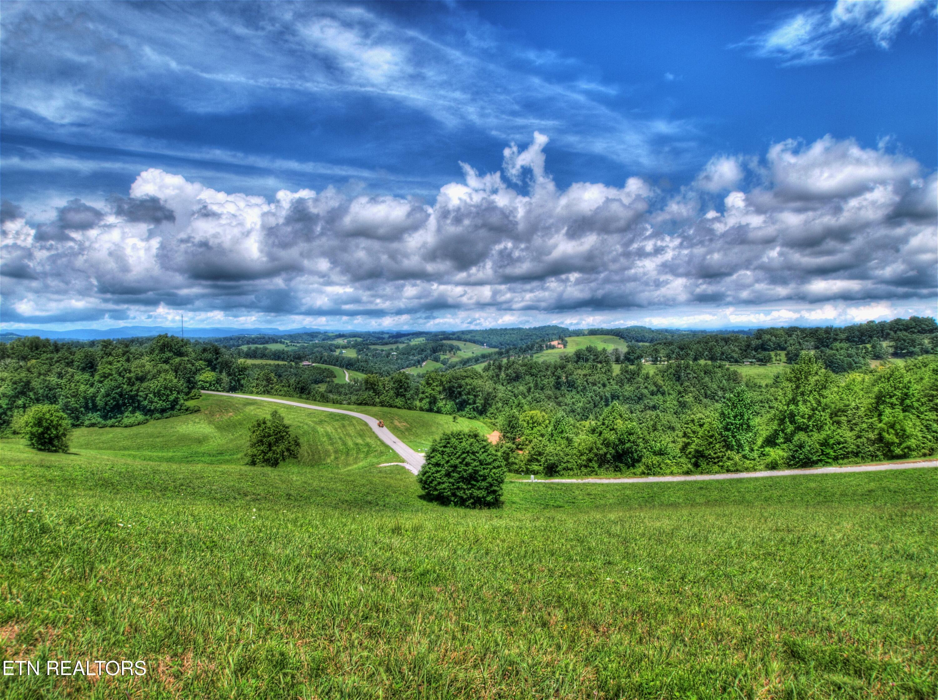 Lot 191 Moonstone Lane, New Tazewell, TN - Norris Lake Real Estate - Image# 18
