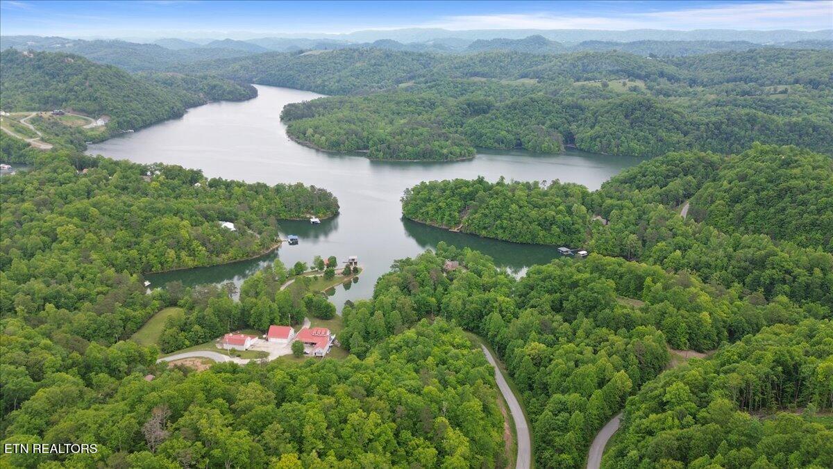 Norris Lake Real Estate - Image# 10