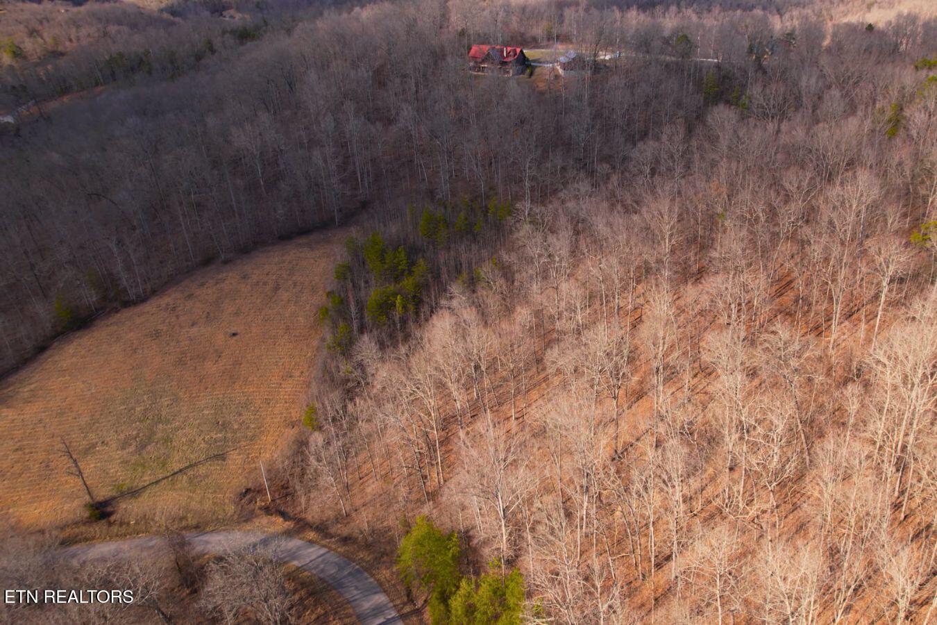 Norris Lake Real Estate - Image# 17