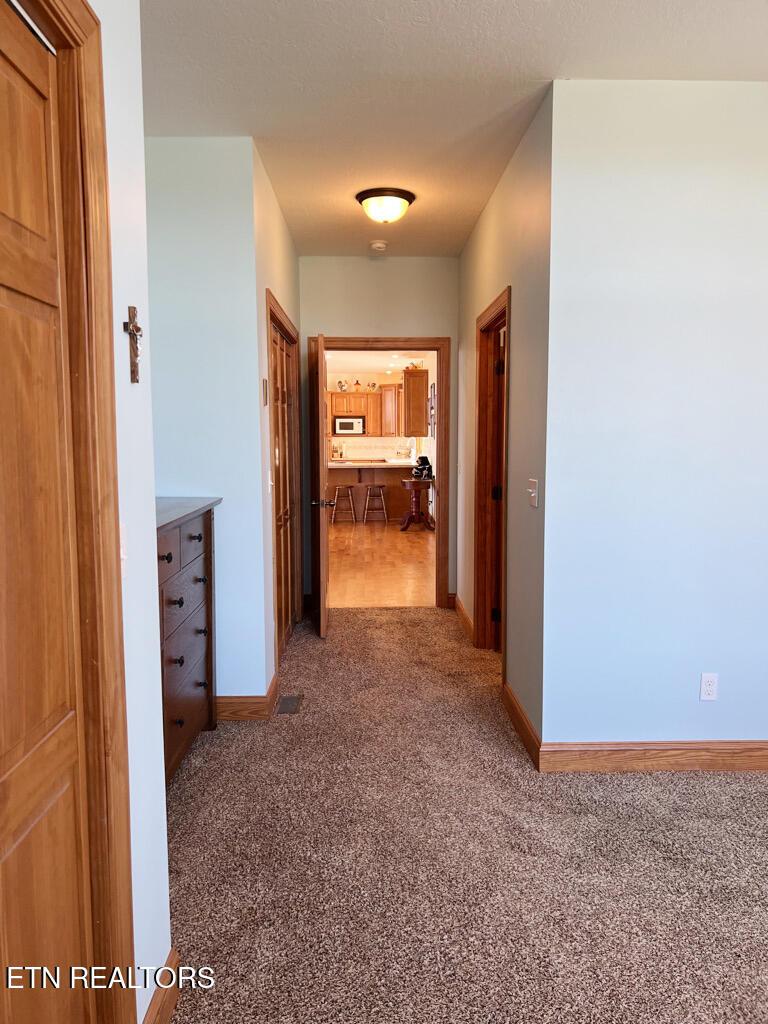 255 Sunset View, Sharps Chapel, TN - Norris Lake Real Estate - Image# 35