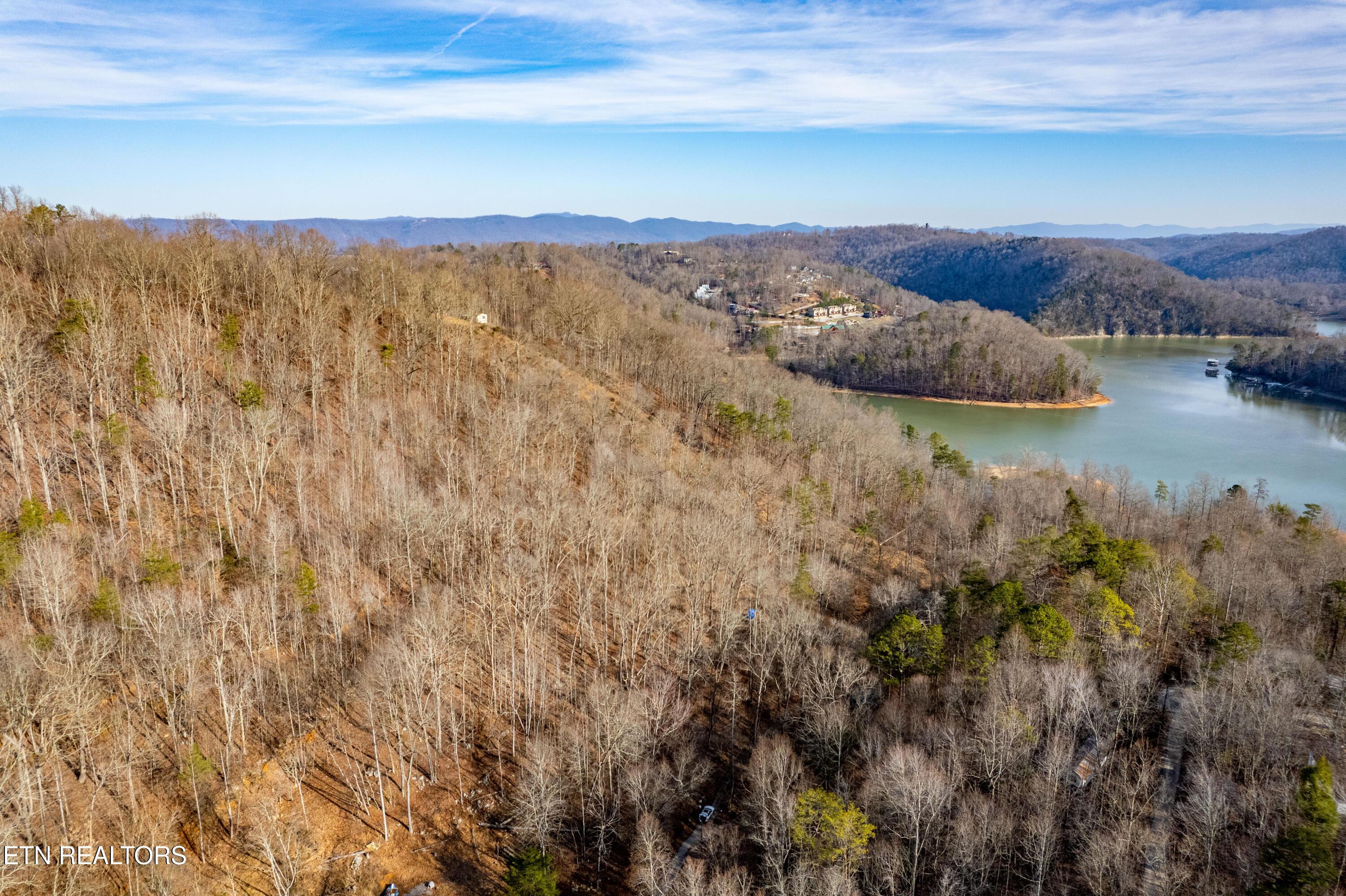 Norris Lake Real Estate - Image# 6