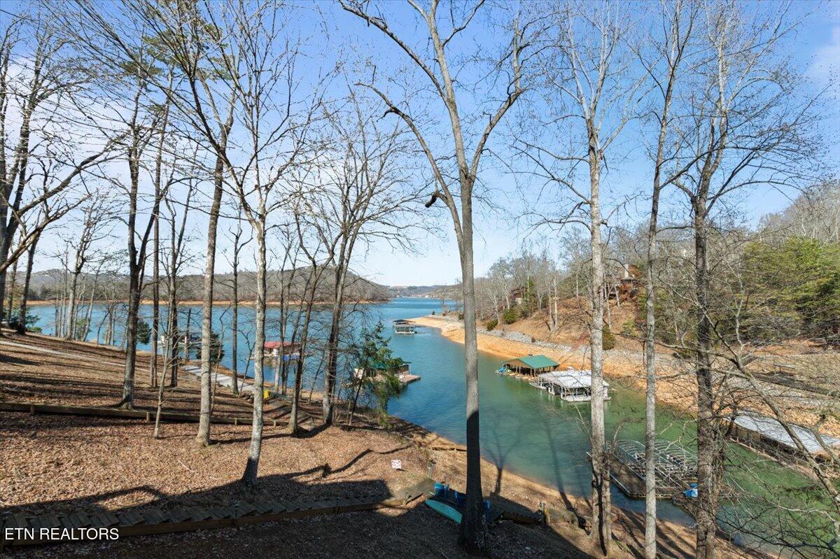 268 W Deerwalk Lane, Lafollette, TN - Norris Lake Real Estate - Image# 14