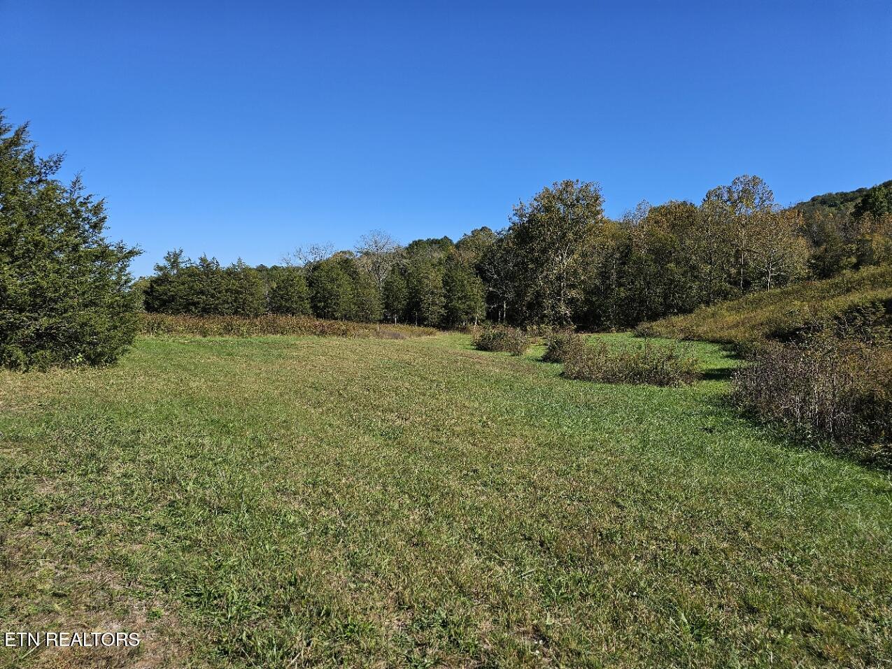 Shoreline Vista, Sharps Chapel, TN