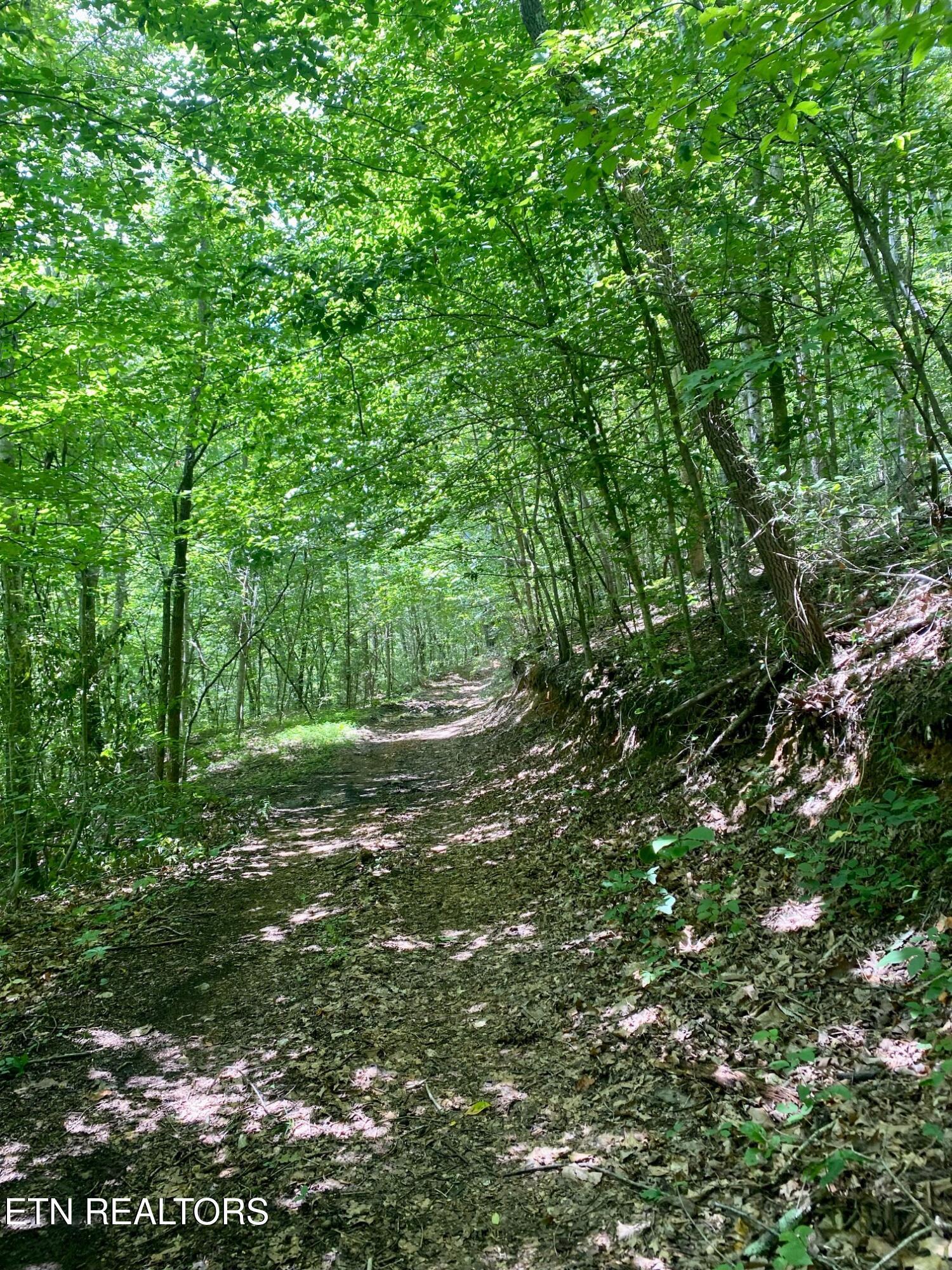 River Ridge Road Tract 3, Maynardville, TN - Norris Lake Real Estate - Image# 1
