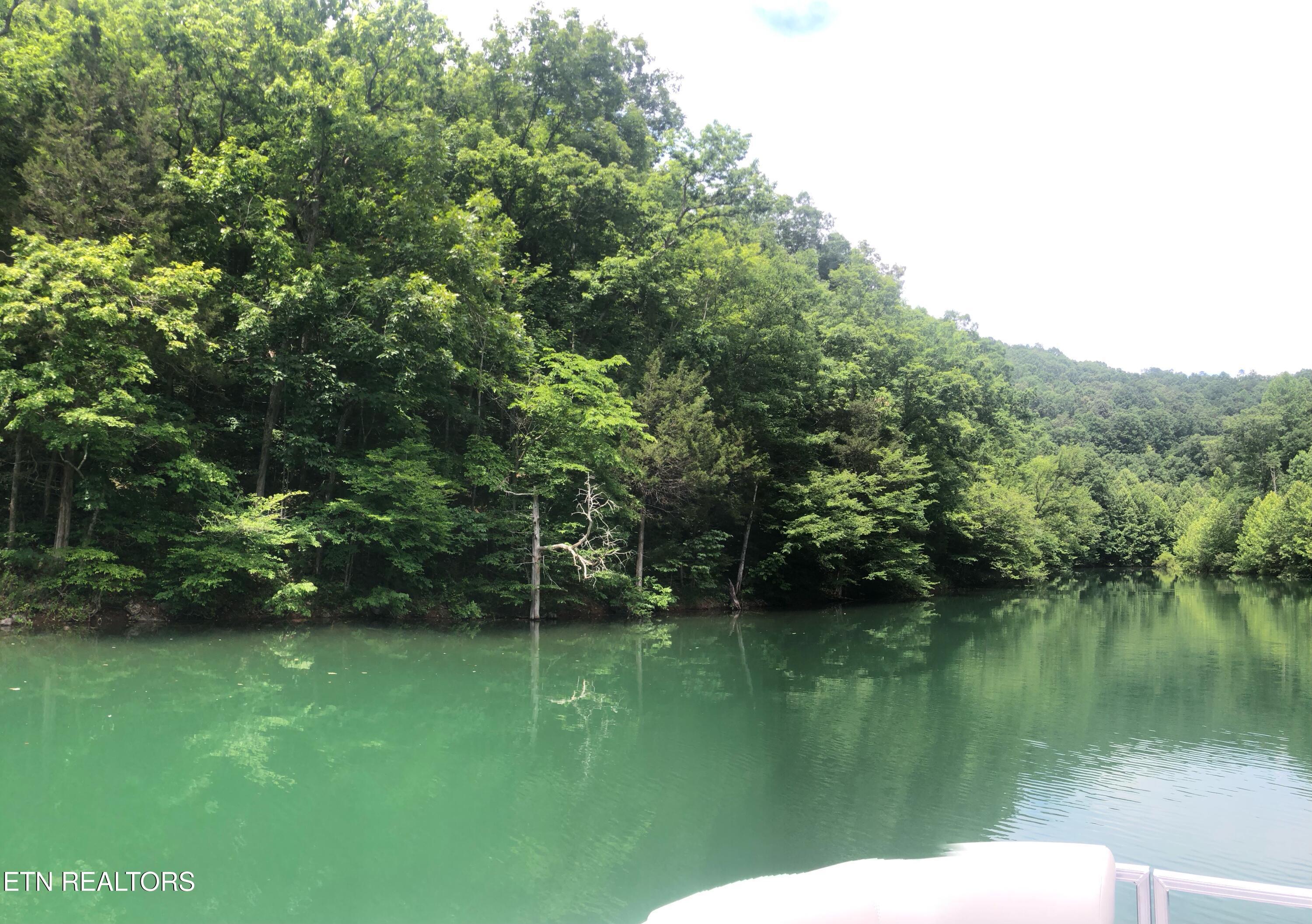 River Ridge Road Tract 3, Maynardville, TN - Norris Lake Real Estate - Image# 2
