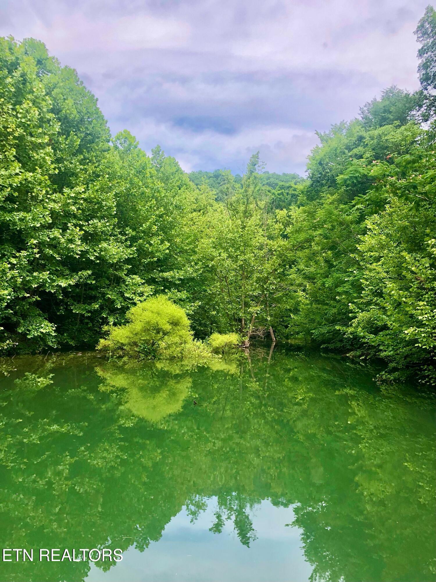 River Ridge Road Tract 4, Maynardville, TN - Norris Lake Real Estate - Image# 2