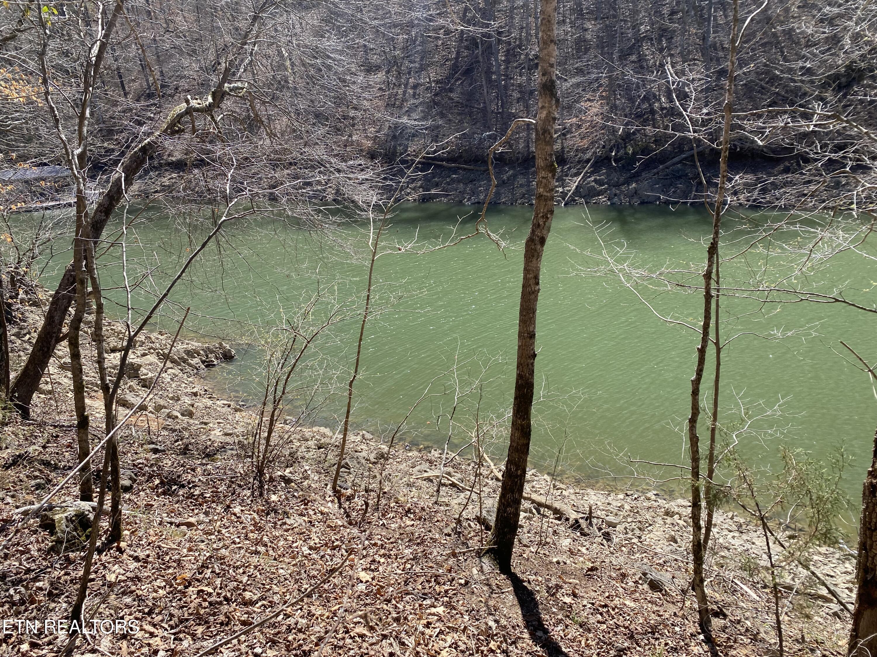 River Ridge Road Tract 4, Maynardville, TN - Norris Lake Real Estate - Image# 3