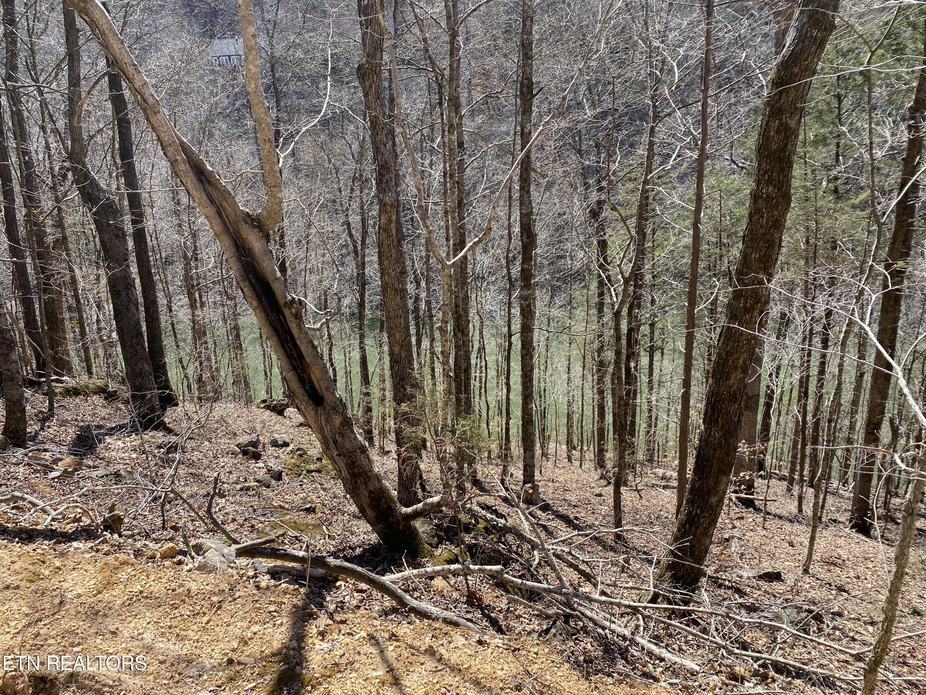 River Ridge Road Tract 4, Maynardville, TN - Norris Lake Real Estate - Image# 4