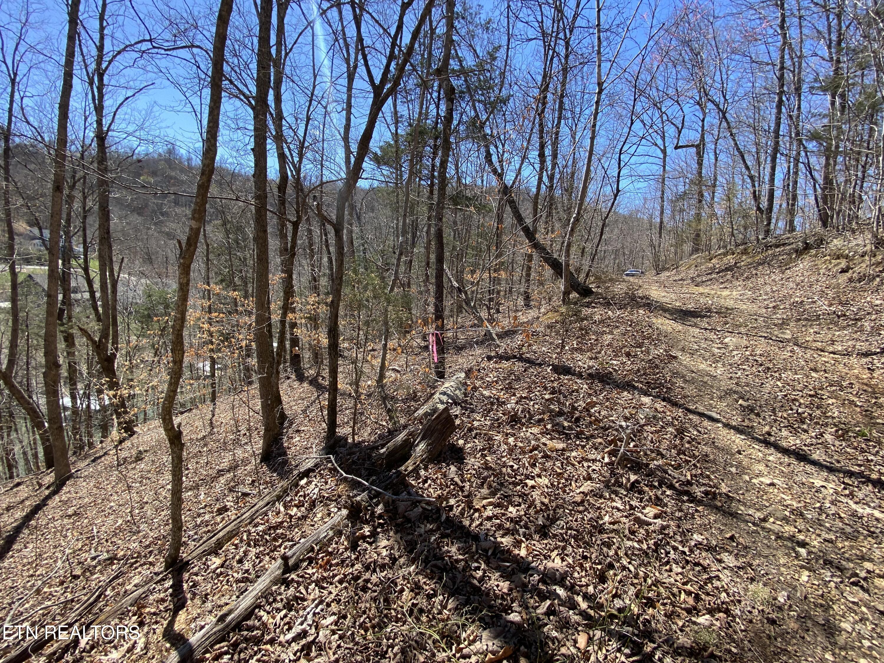 River Ridge Road Tract 4, Maynardville, TN - Norris Lake Real Estate - Image# 5