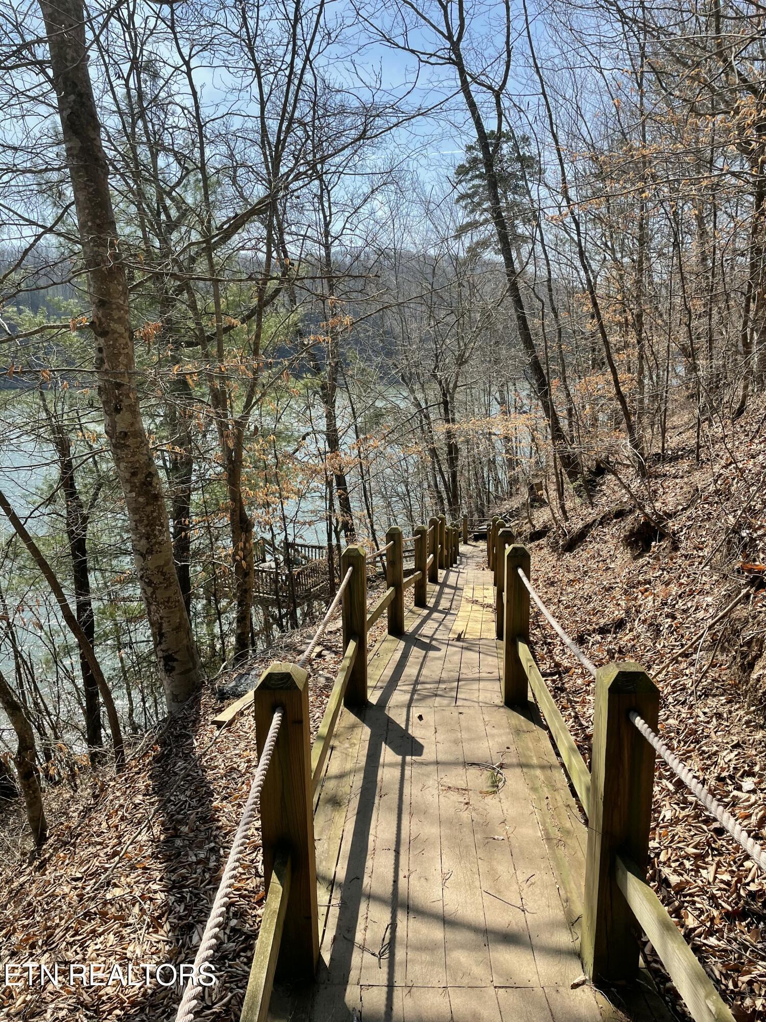625 Bluff View Rd. Rd, New Tazewell, TN - Norris Lake Real Estate - Image# 46