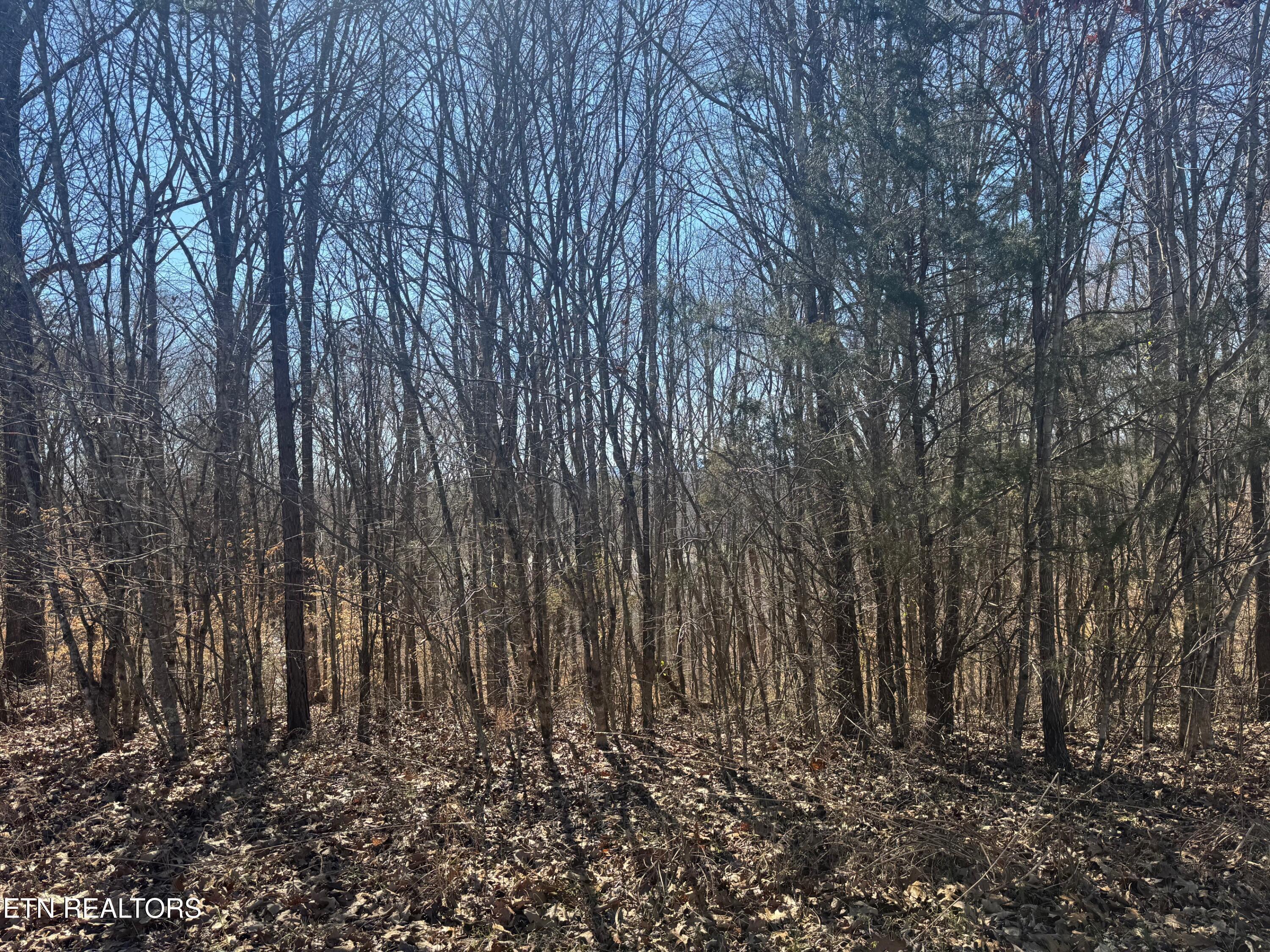 LOT 71 Saddle Ridge Drive, Speedwell, TN - Norris Lake Real Estate - Image# 1