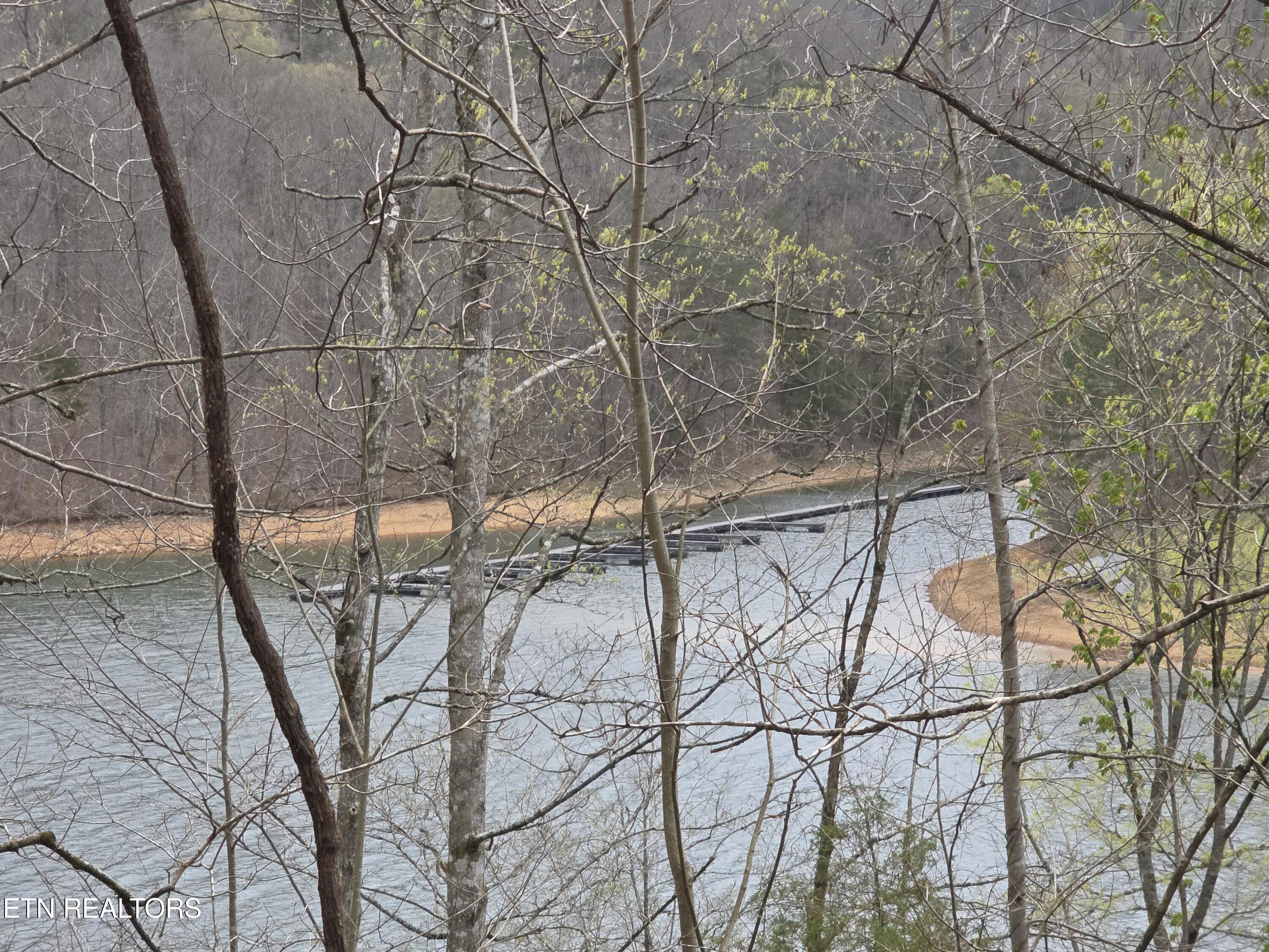 LOT 71 Saddle Ridge Drive, Speedwell, TN - Norris Lake Real Estate - Image# 7