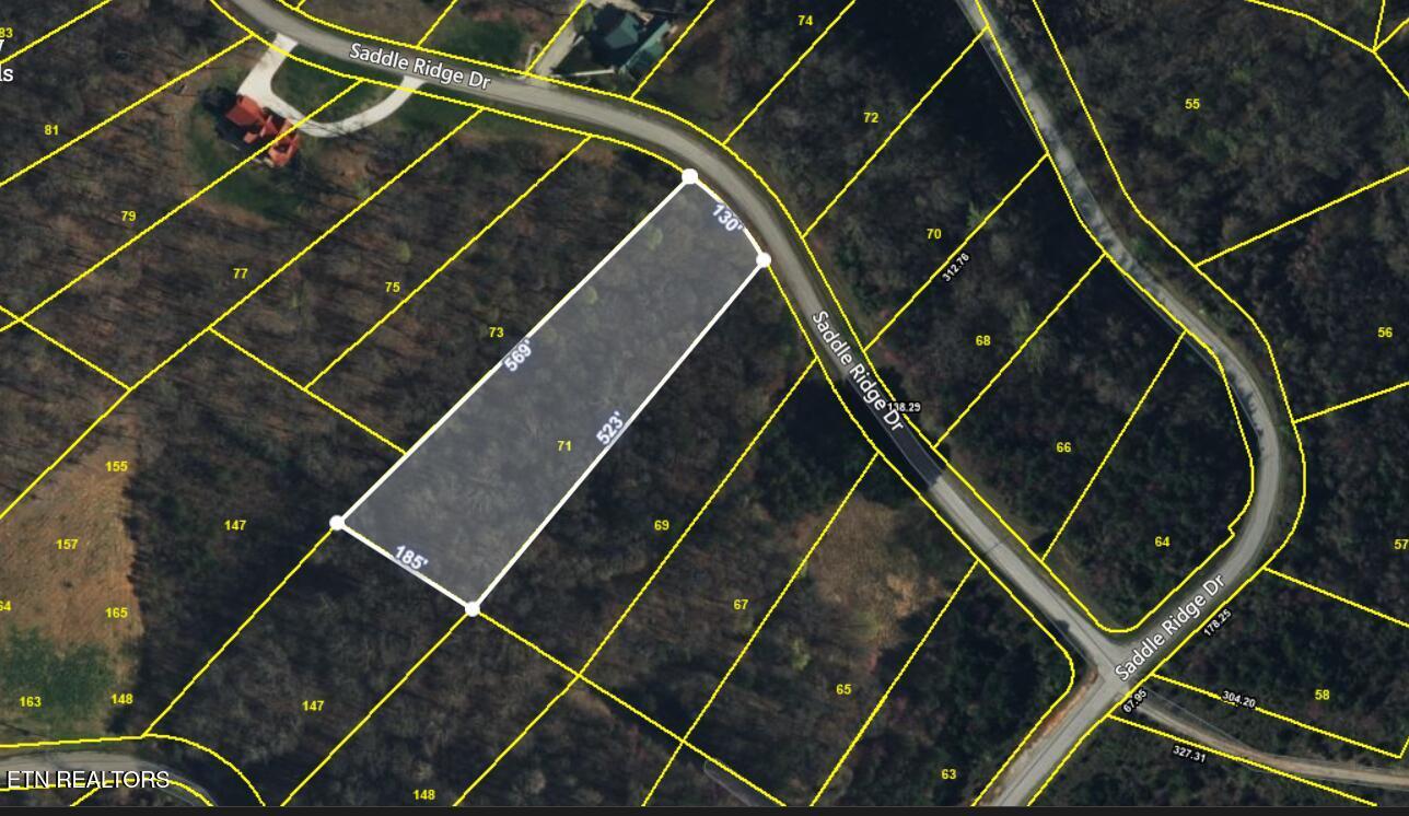 LOT 71 Saddle Ridge Drive, Speedwell, TN - Norris Lake Real Estate - Image# 2