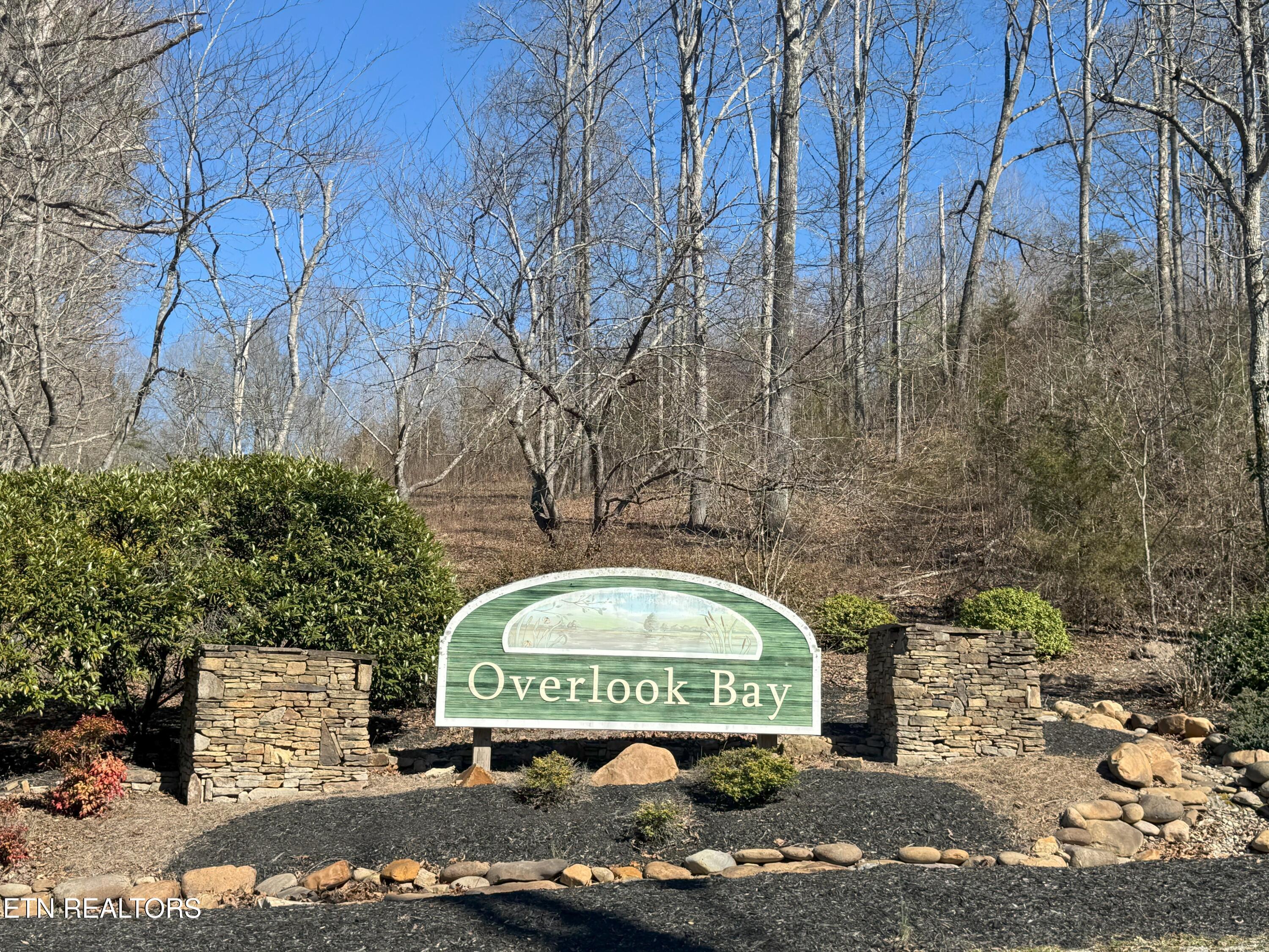 LOT 71 Saddle Ridge Drive, Speedwell, TN - Norris Lake Real Estate - Image# 11