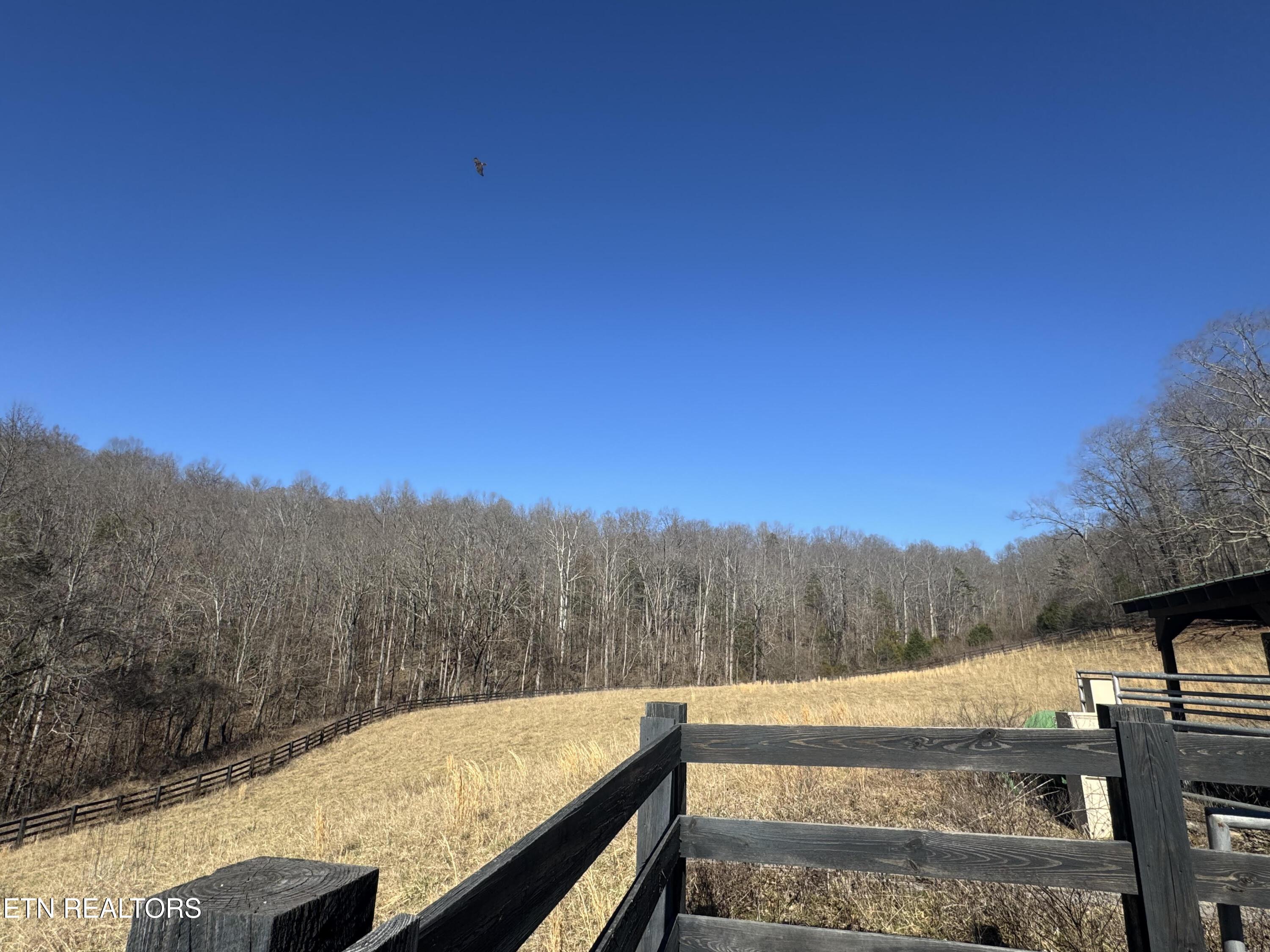 LOT 71 Saddle Ridge Drive, Speedwell, TN - Norris Lake Real Estate - Image# 10