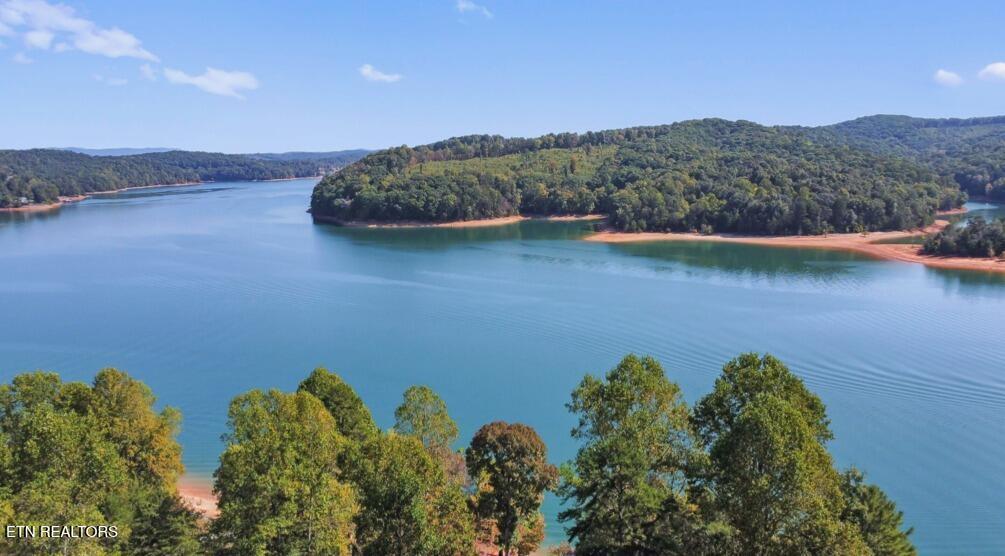 156 Little Deer Path, Lafollette, TN - Norris Lake Real Estate - Image# 5