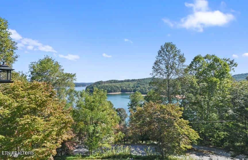 156 Little Deer Path, Lafollette, TN - Norris Lake Real Estate - Image# 6