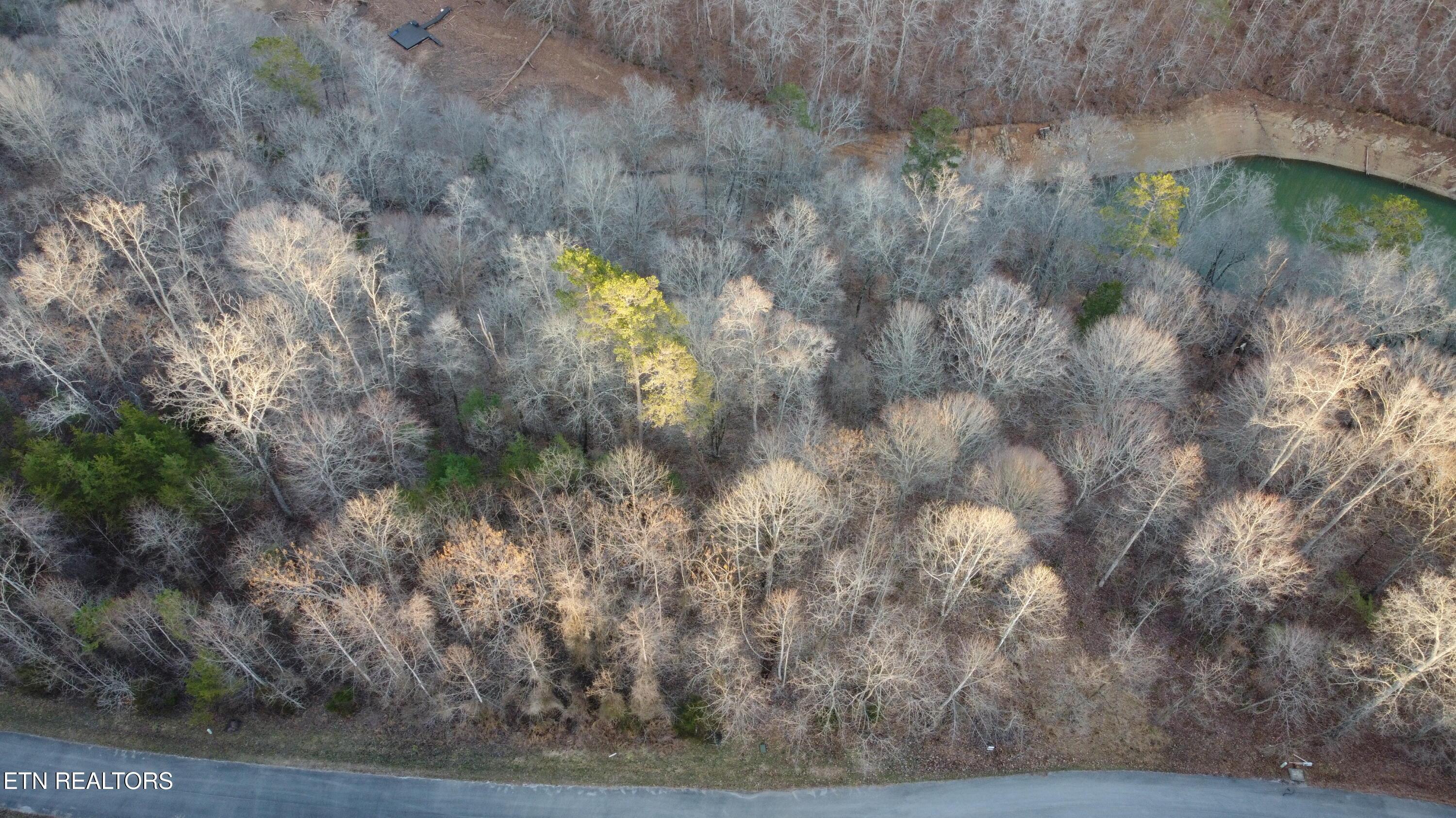 Lot 410 Mystic Star Drive, New Tazewell, TN - Norris Lake Real Estate - Image# 3