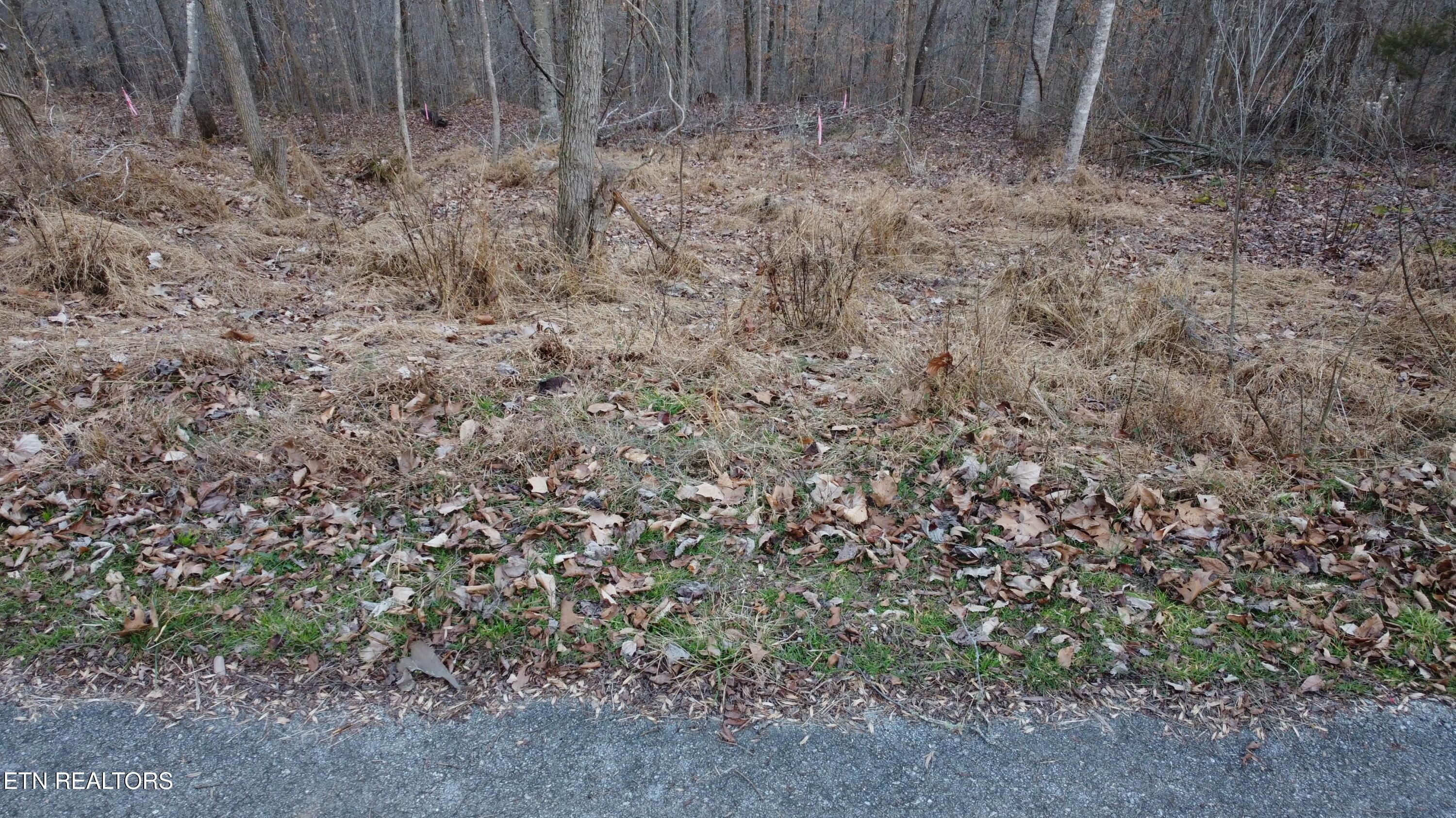 Lot 410 Mystic Star Drive, New Tazewell, TN - Norris Lake Real Estate - Image# 5