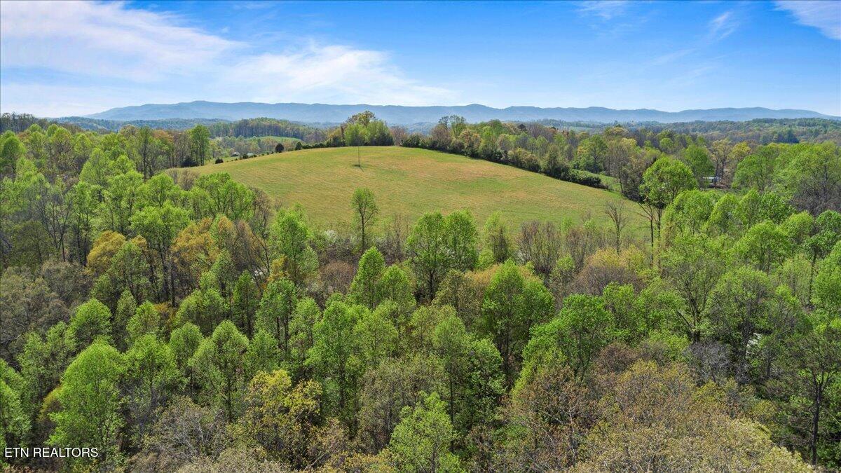 Old Glory Lane, Lafollette, TN - Norris Lake Real Estate - Image# 3