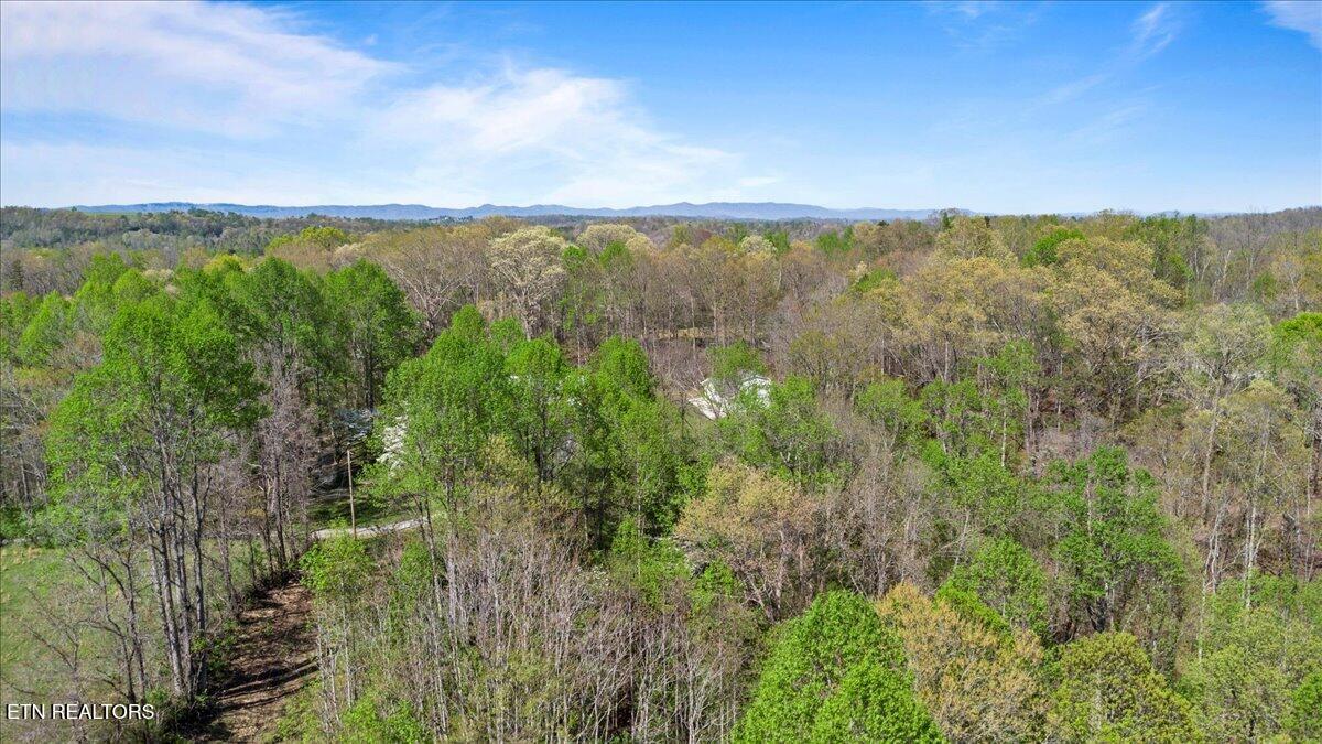 Old Glory Lane, Lafollette, TN - Norris Lake Real Estate - Image# 8