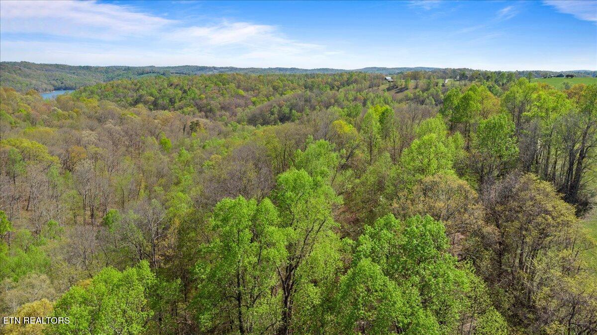 Old Glory Lane, Lafollette, TN - Norris Lake Real Estate - Image# 10