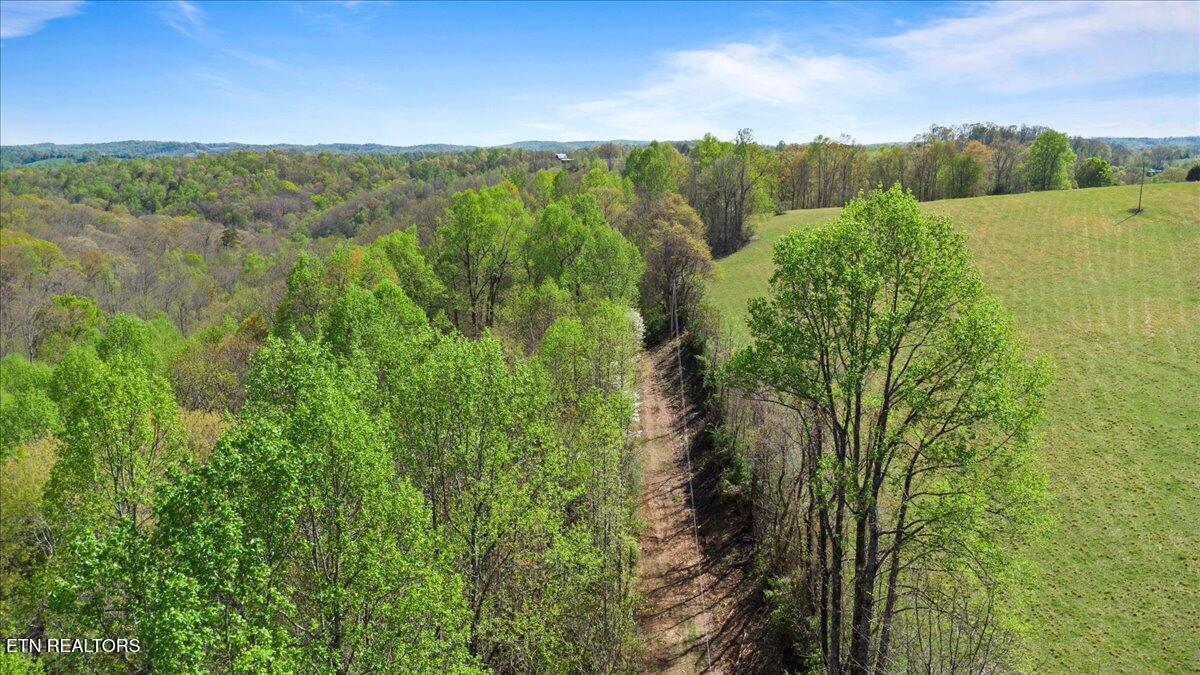 Old Glory Lane, Lafollette, TN - Norris Lake Real Estate - Image# 11