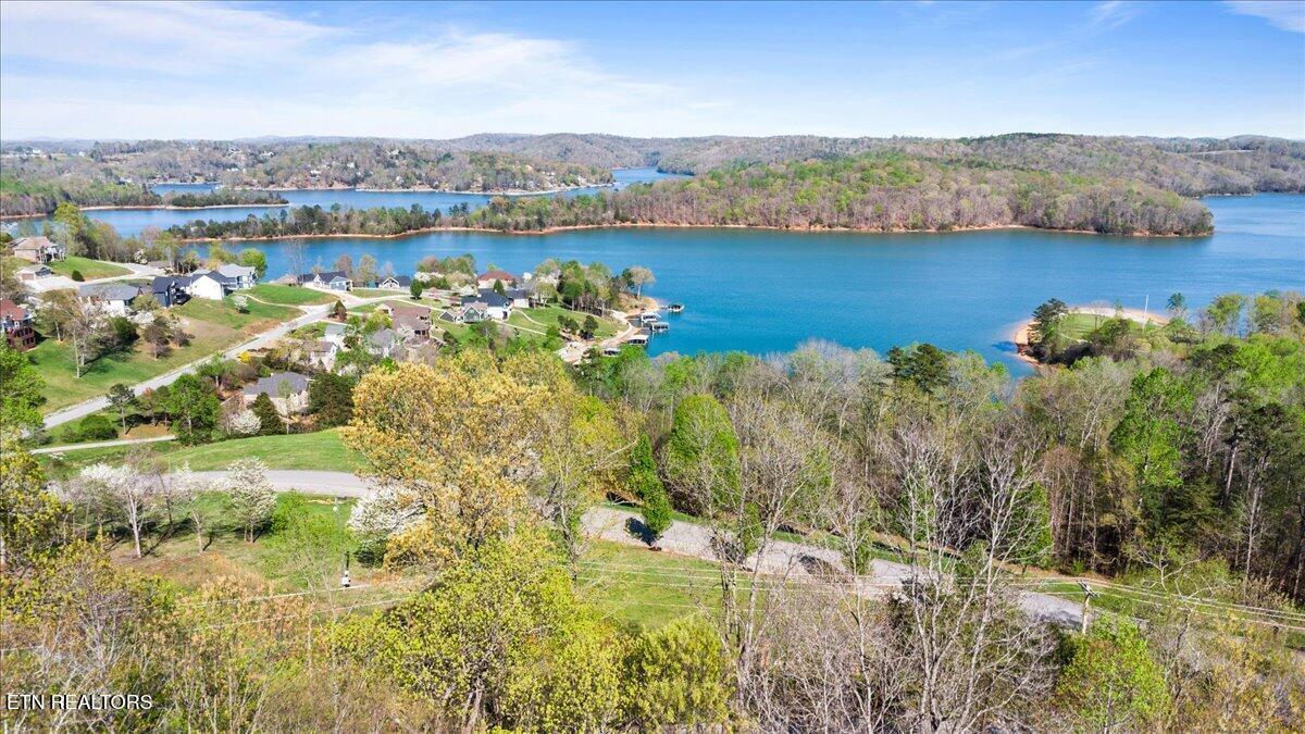 Norris Lake Real Estate - Image# 3
