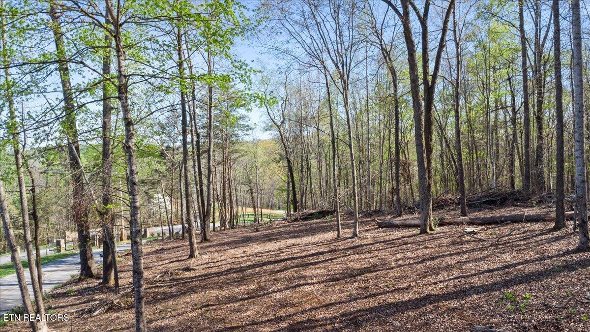 Norris Lake Real Estate - Image# 13