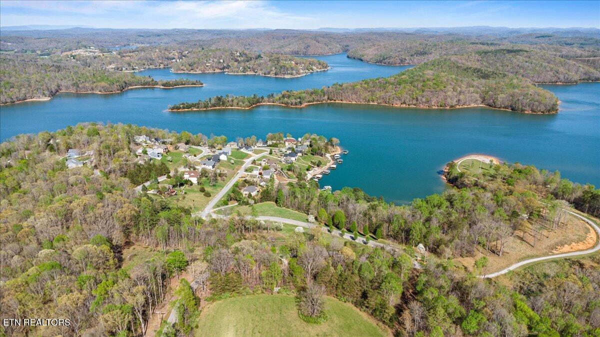 Norris Lake Real Estate - Image# 18