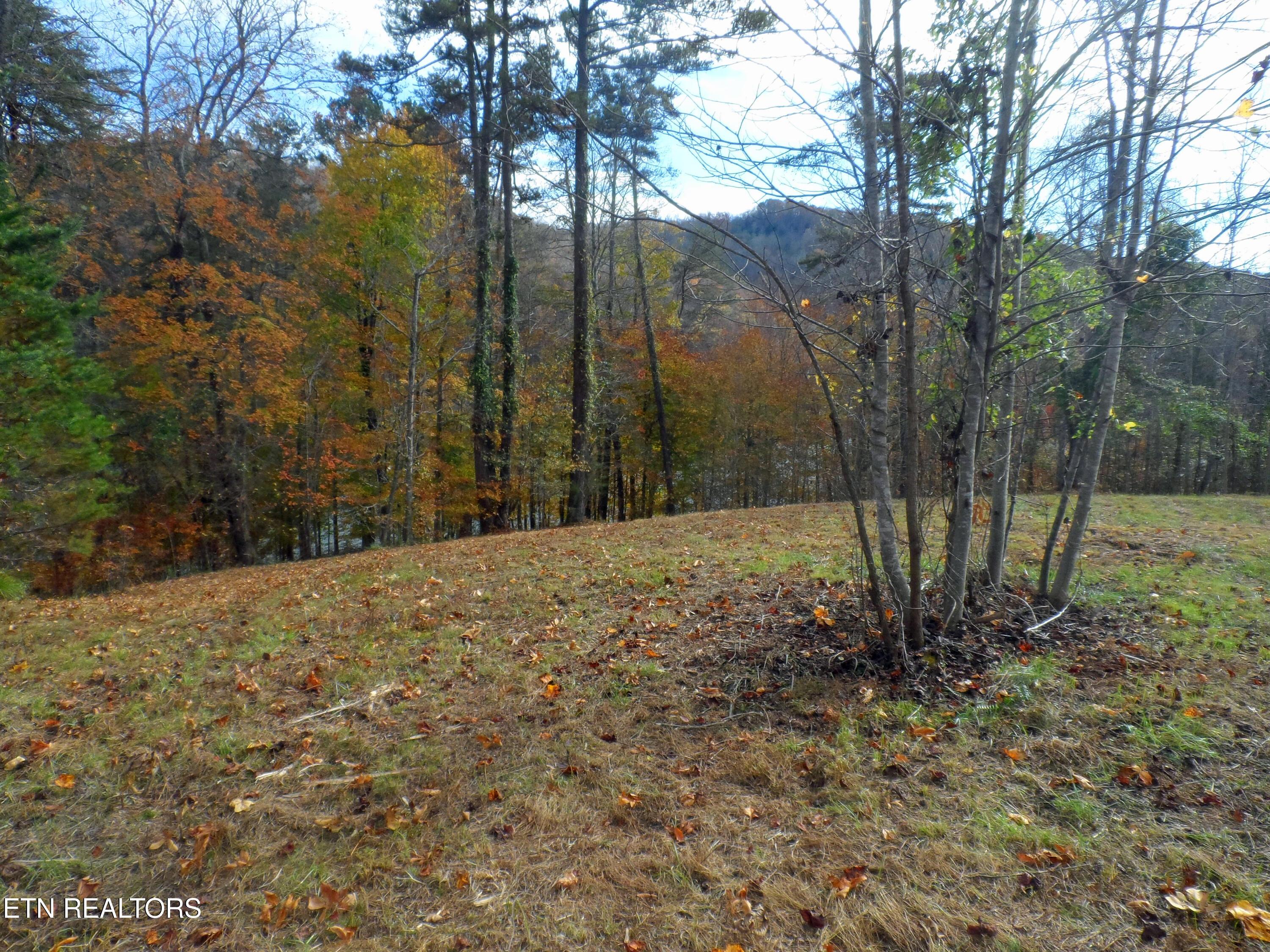 Norris Lake Real Estate - Image# 6