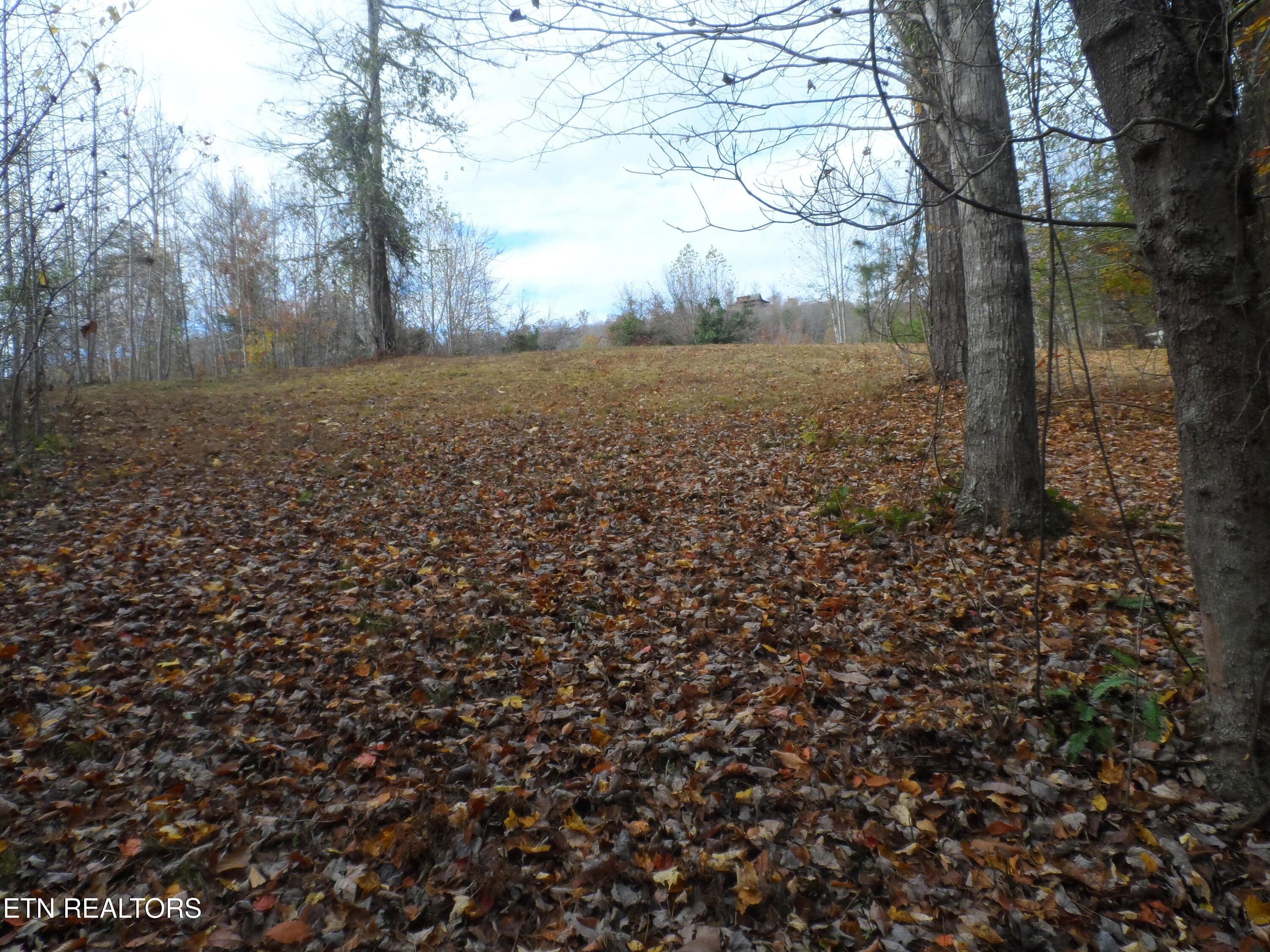 Norris Lake Real Estate - Image# 9