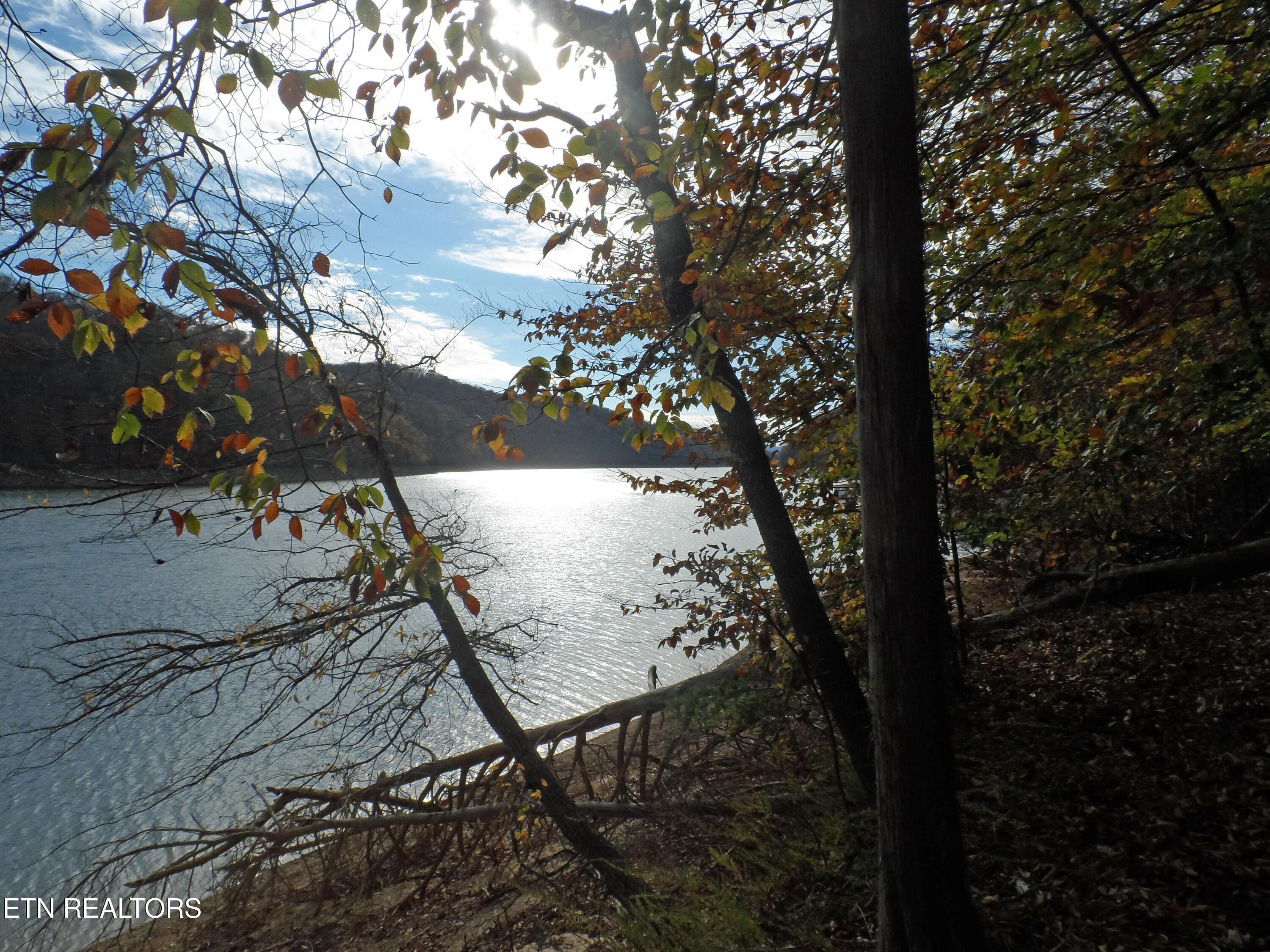 Norris Lake Real Estate - Image# 10