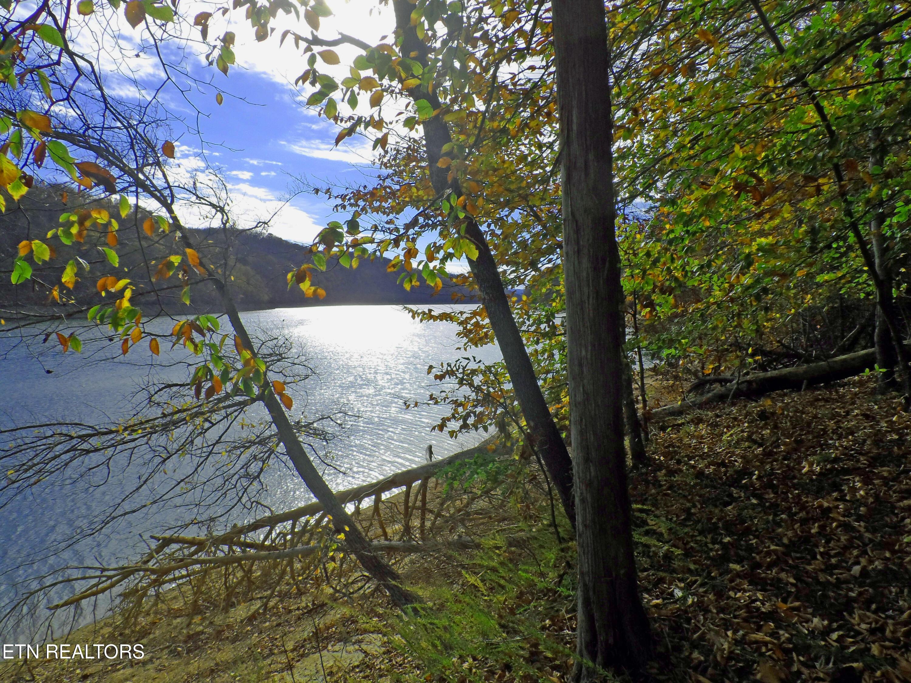 Norris Lake Real Estate - Image# 2