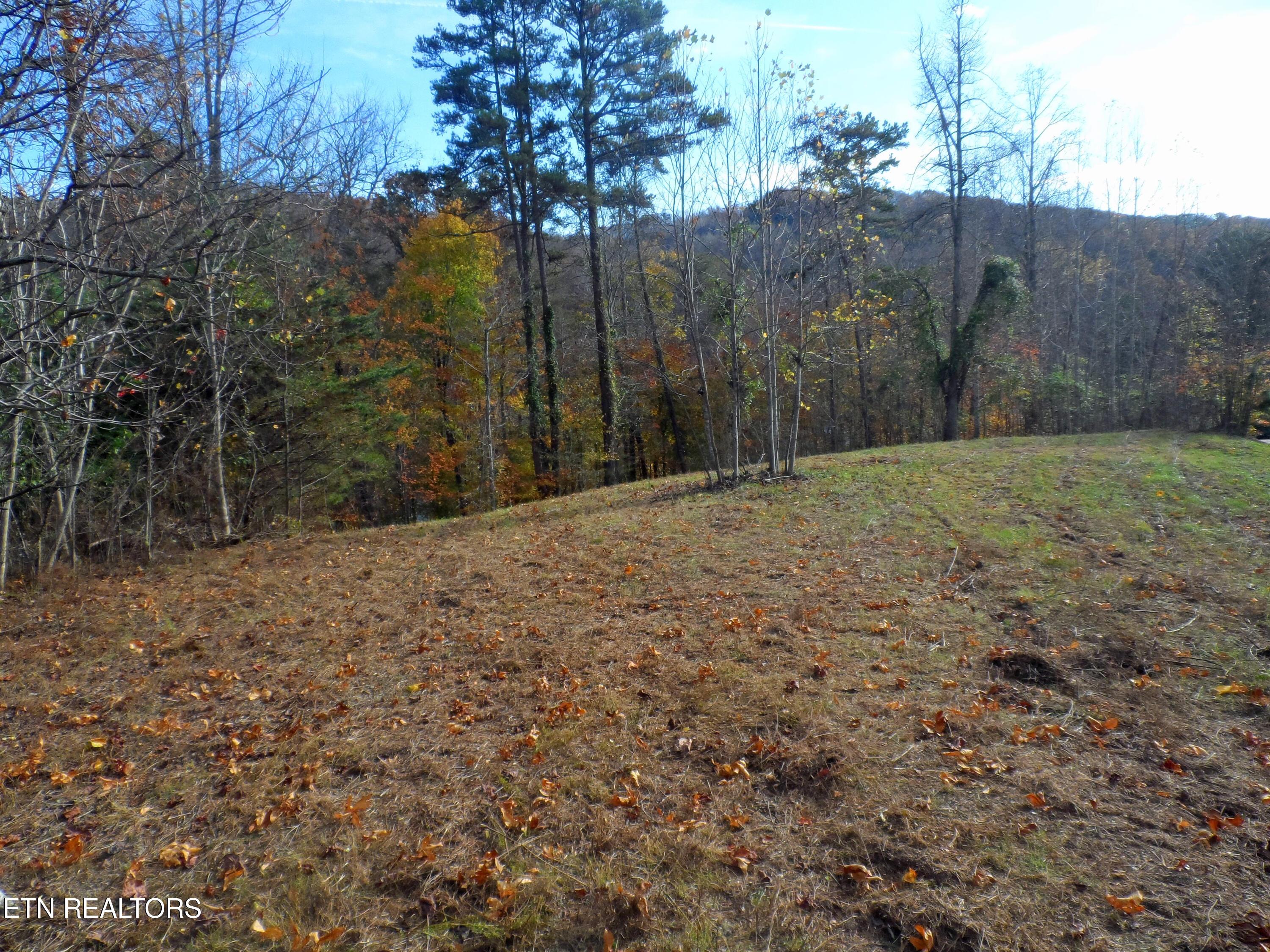 Norris Lake Real Estate - Image# 12