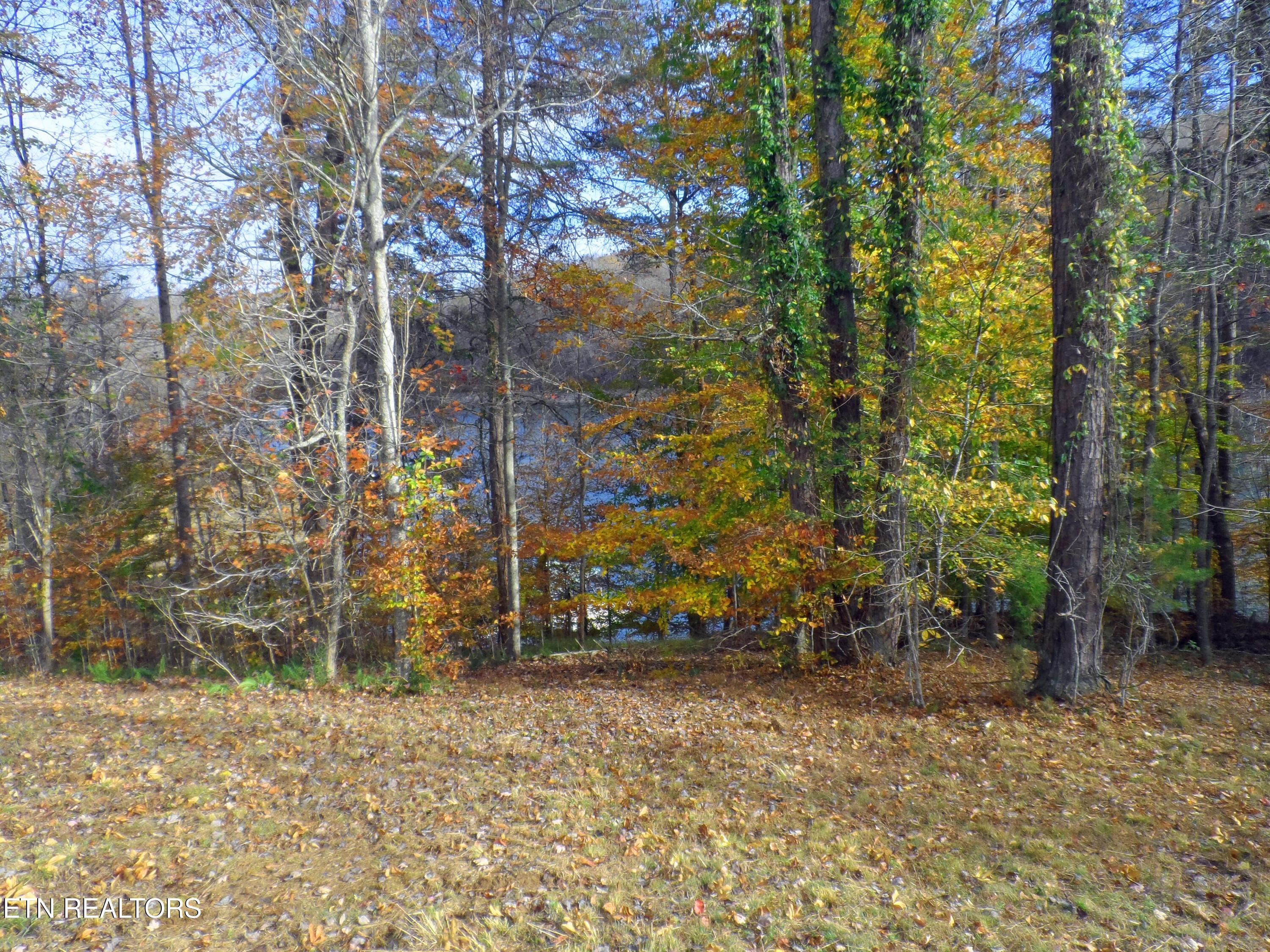 Norris Lake Real Estate - Image# 13