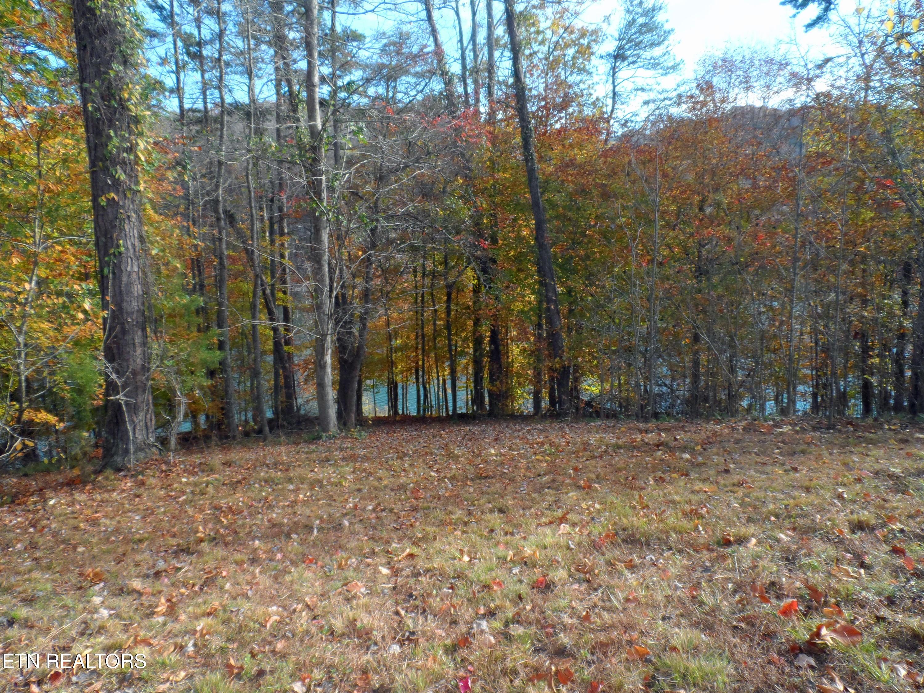 Norris Lake Real Estate - Image# 3