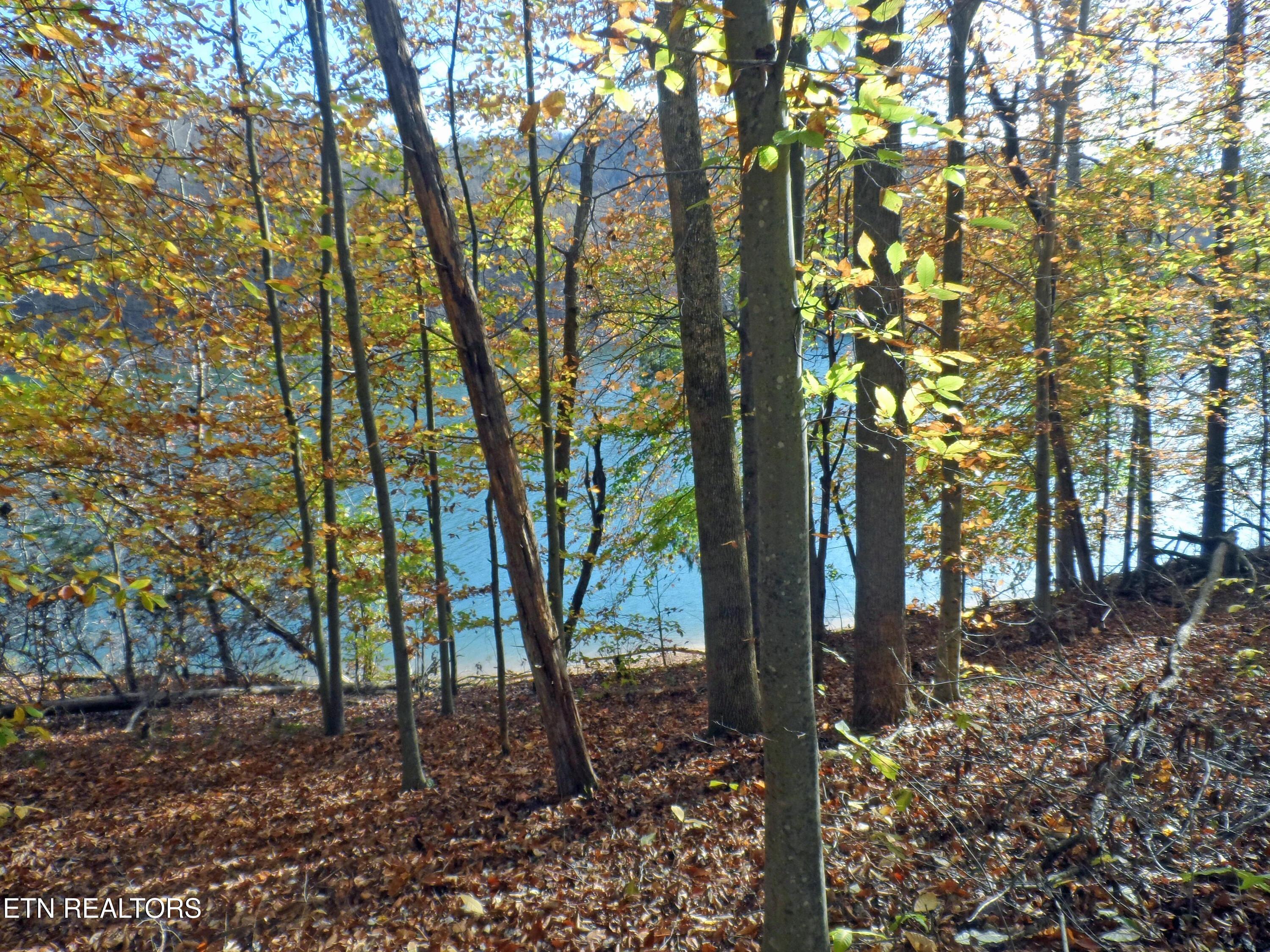 Lot 348 Lick Branch Rd, New Tazewell, TN