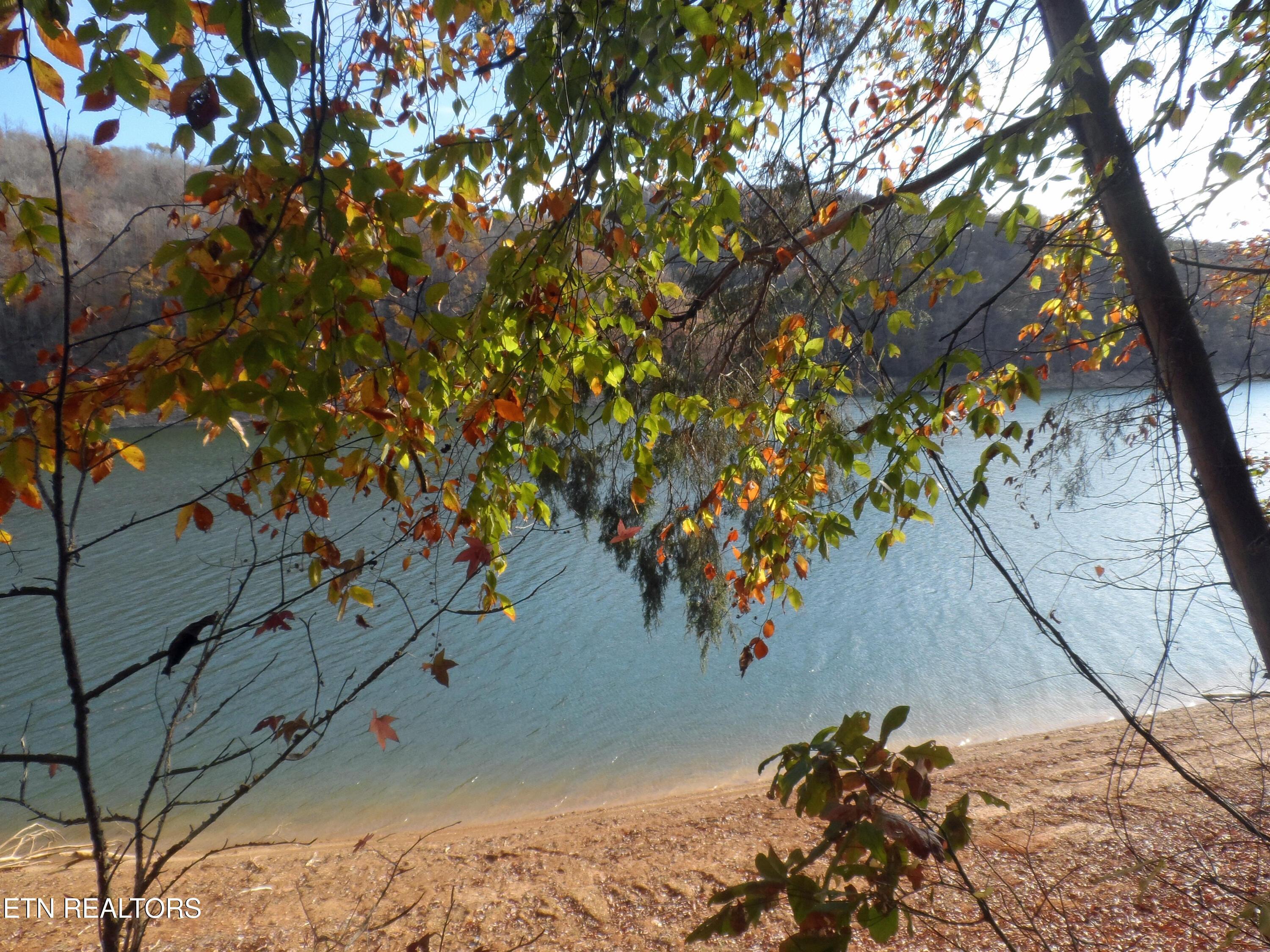 Norris Lake Real Estate - Image# 4