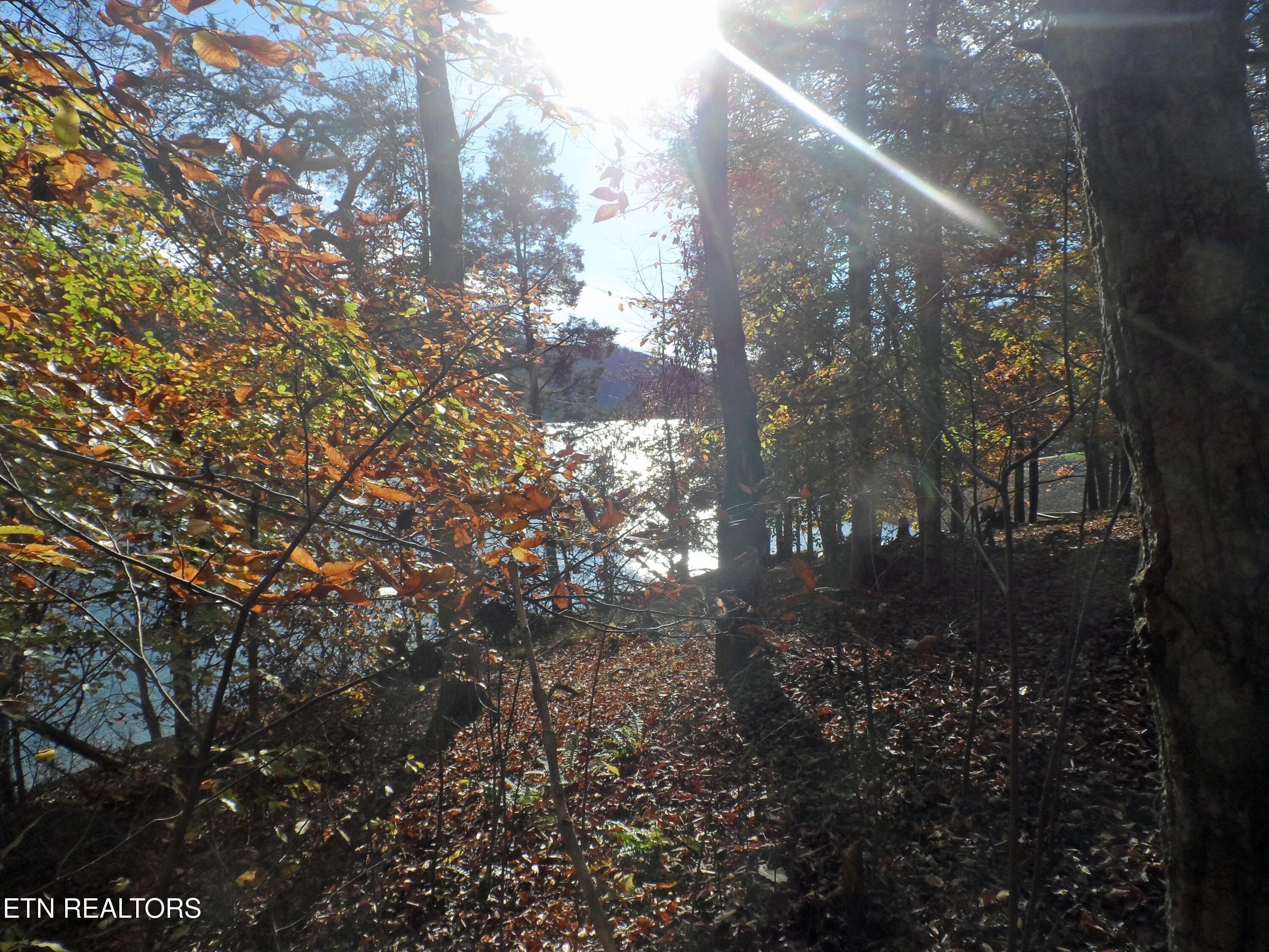 Norris Lake Real Estate - Image# 5