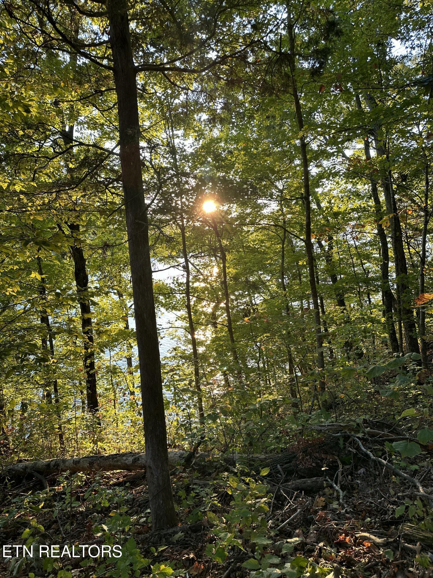Lot 778 Russell Brothers Rd, Sharps Chapel, TN - Norris Lake Real Estate - Image# 6