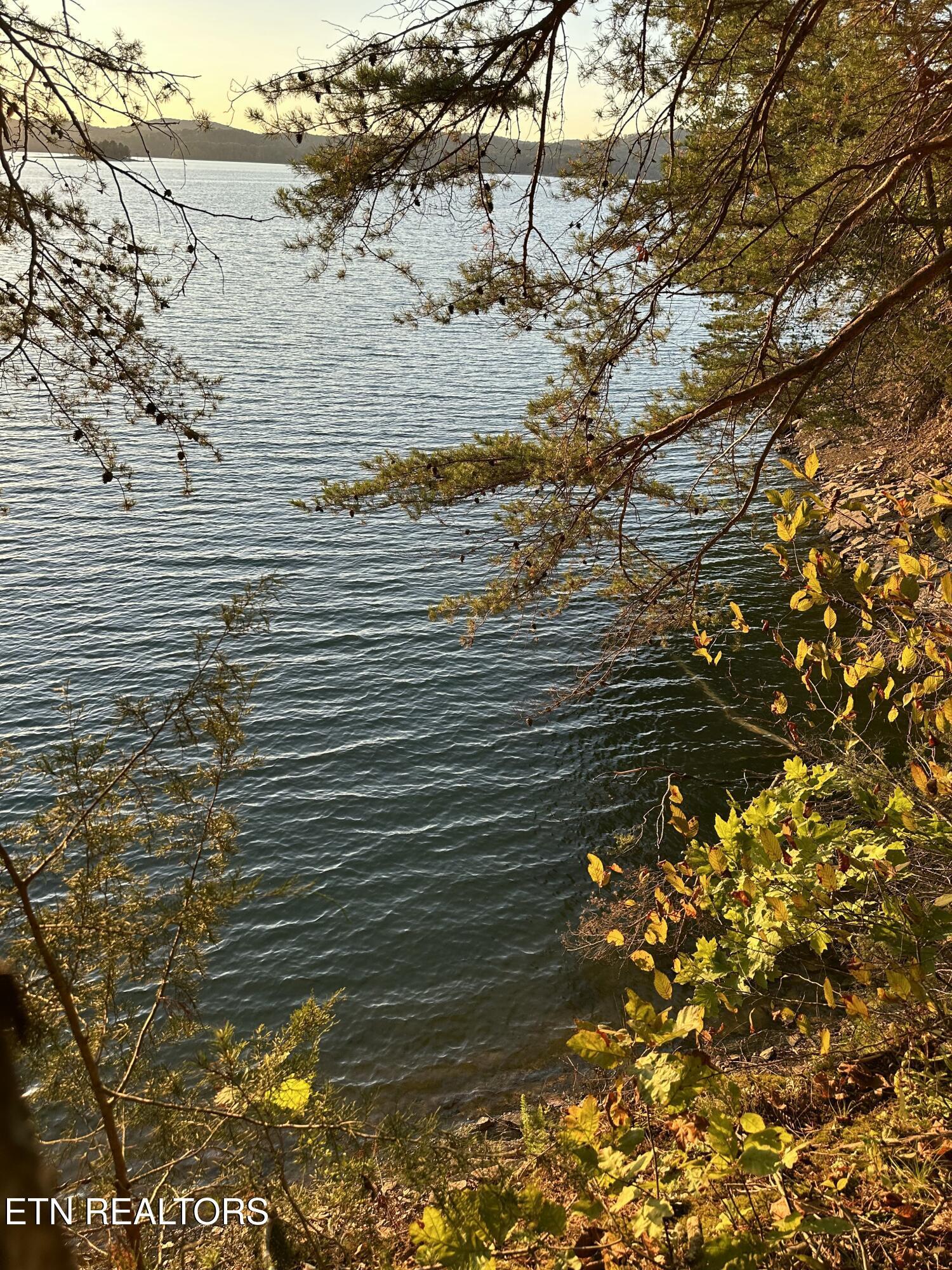 Lot 778 Russell Brothers Rd, Sharps Chapel, TN - Norris Lake Real Estate - Image# 4