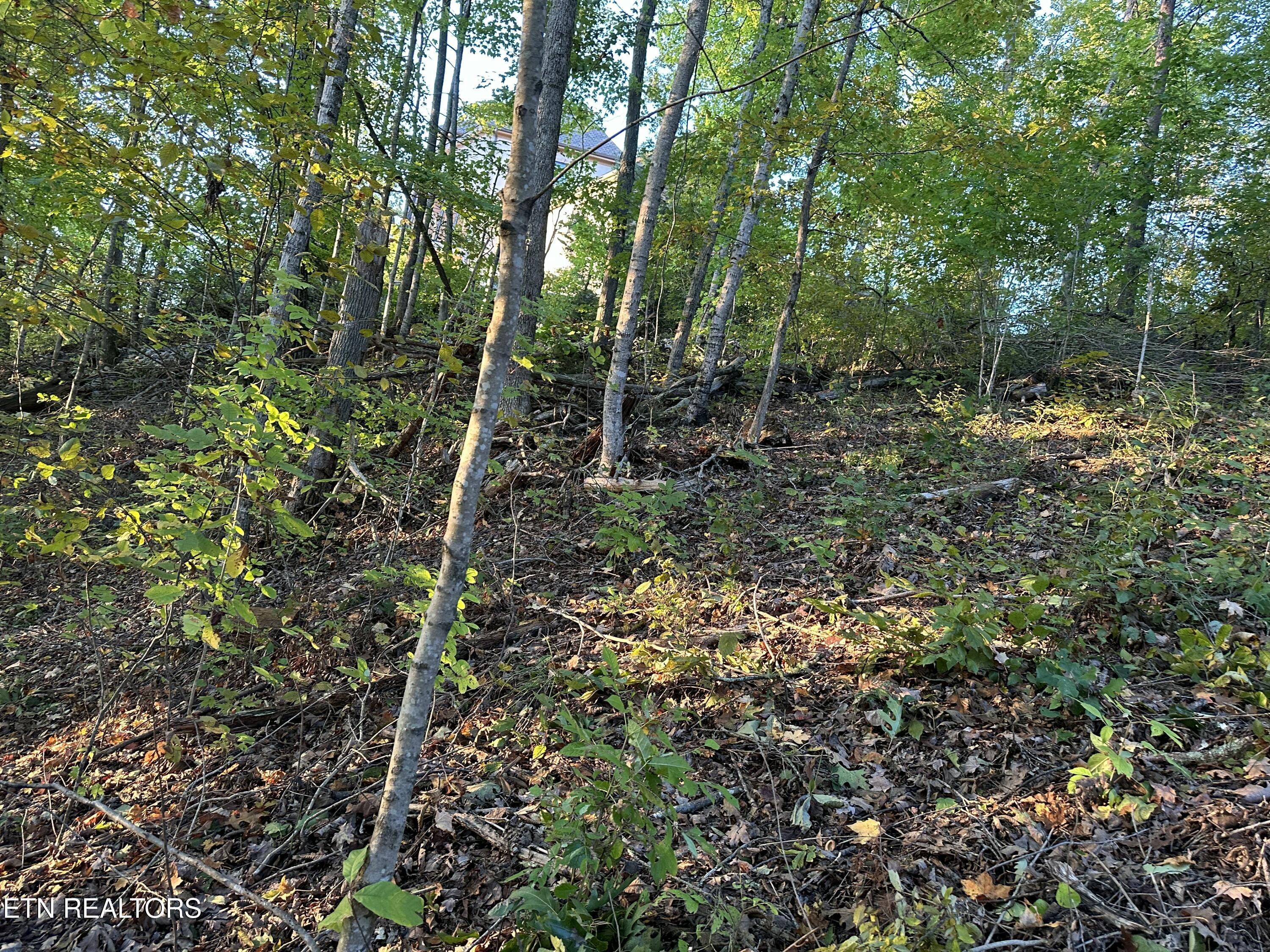 Lot 778 Russell Brothers Rd, Sharps Chapel, TN - Norris Lake Real Estate - Image# 9