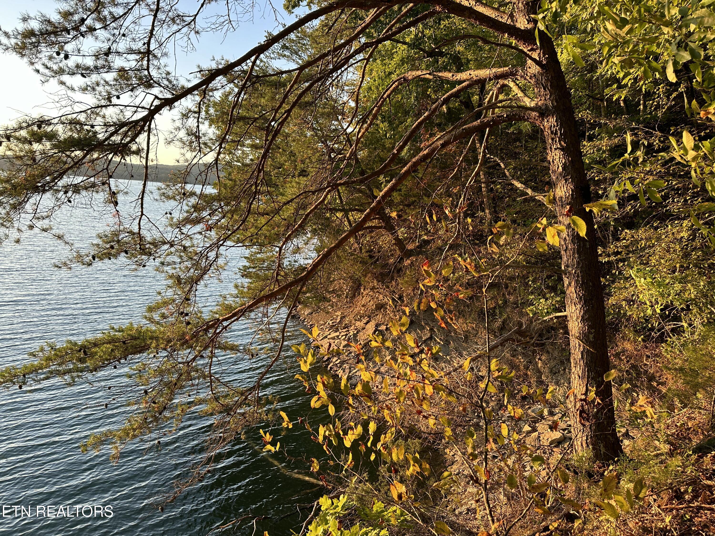 Lot 778 Russell Brothers Rd, Sharps Chapel, TN - Norris Lake Real Estate - Image# 5