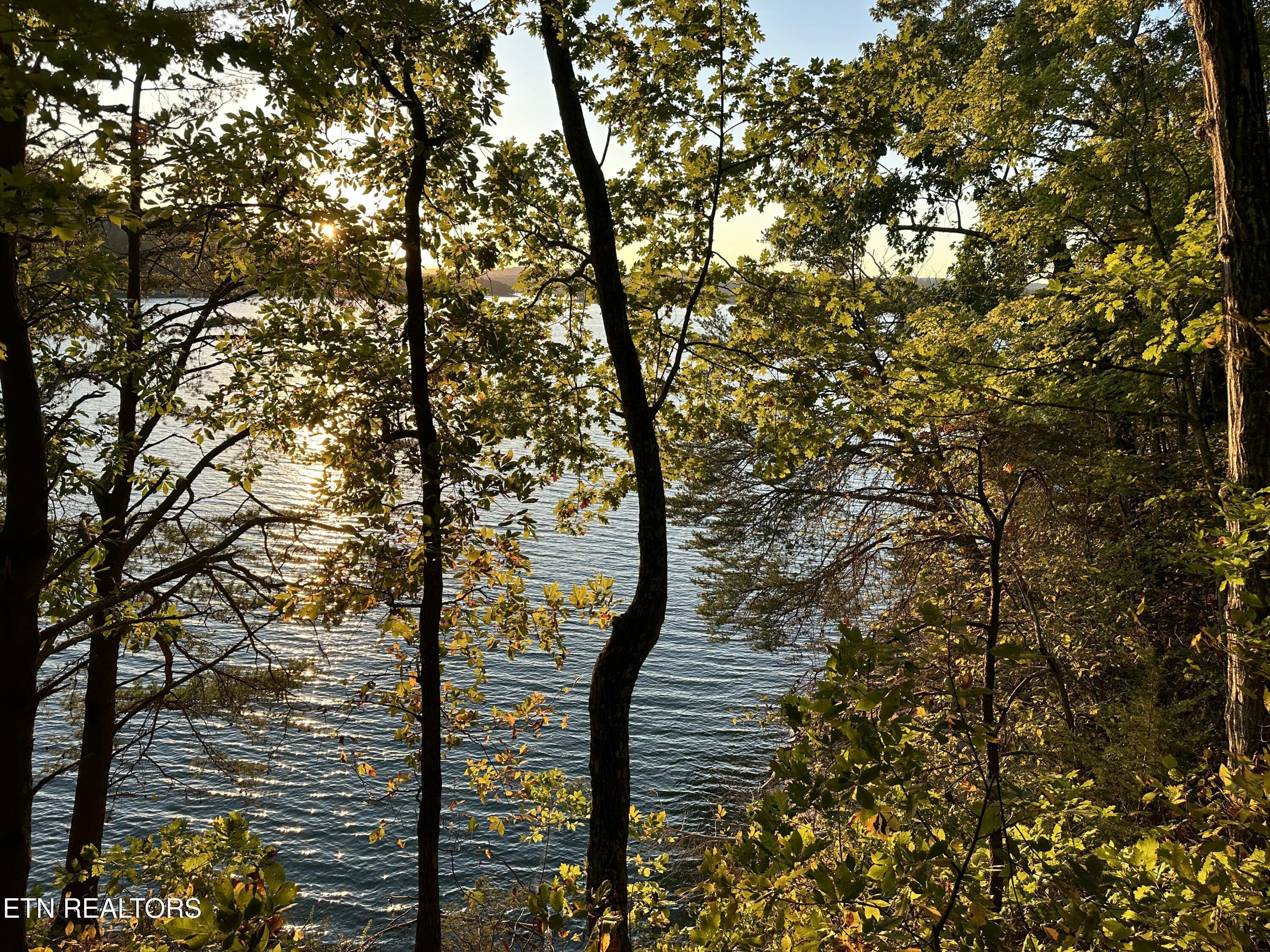 Lot 778 Russell Brothers Rd, Sharps Chapel, TN - Norris Lake Real Estate - Image# 3