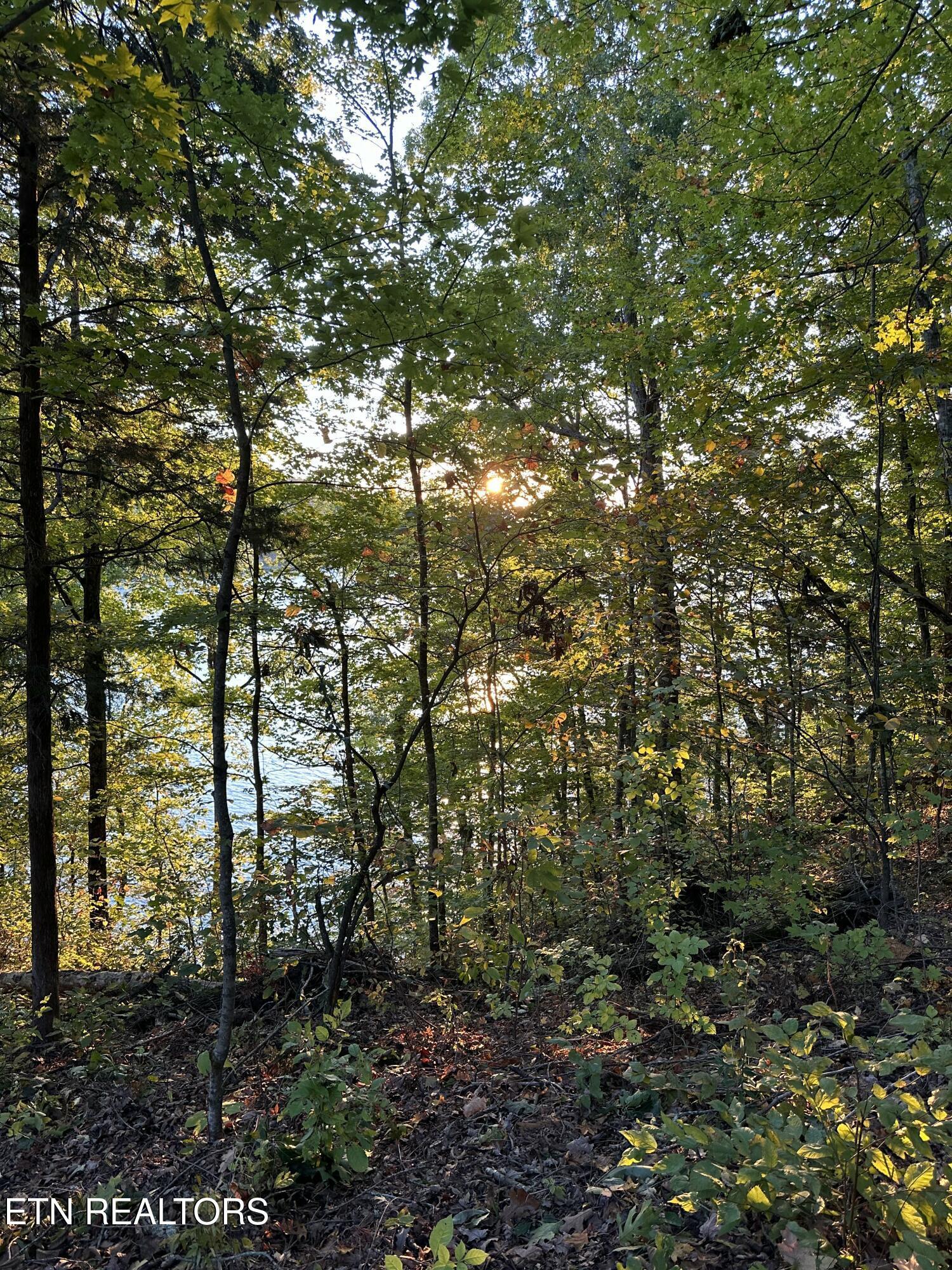 Lot 778 Russell Brothers Rd, Sharps Chapel, TN - Norris Lake Real Estate - Image# 12